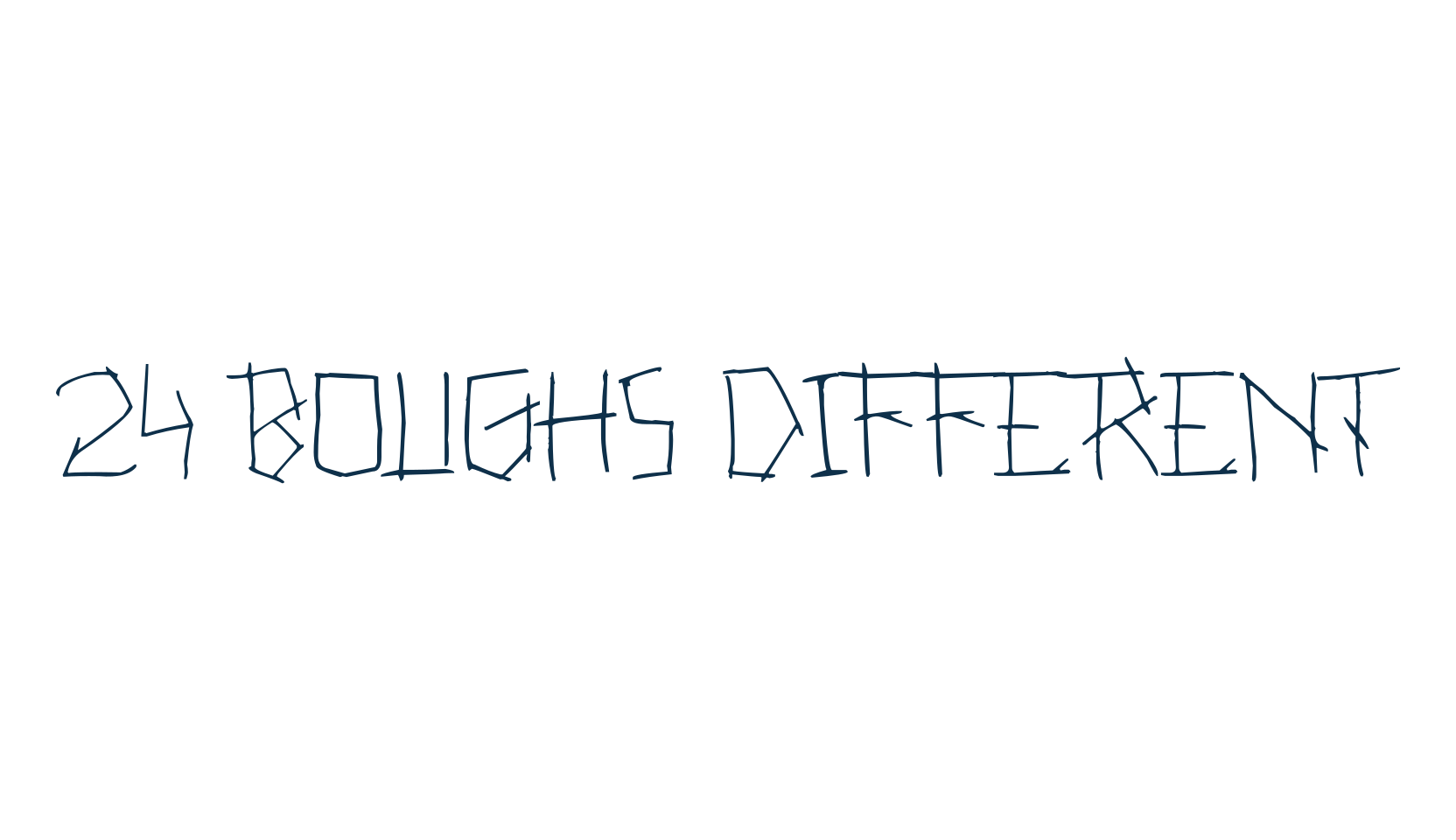 24 Boughs Different, fancy various decorative script calligraphy font preview