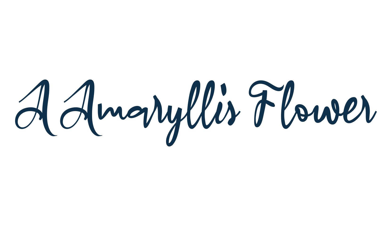 A Amaryllis Flower, display market font preview
