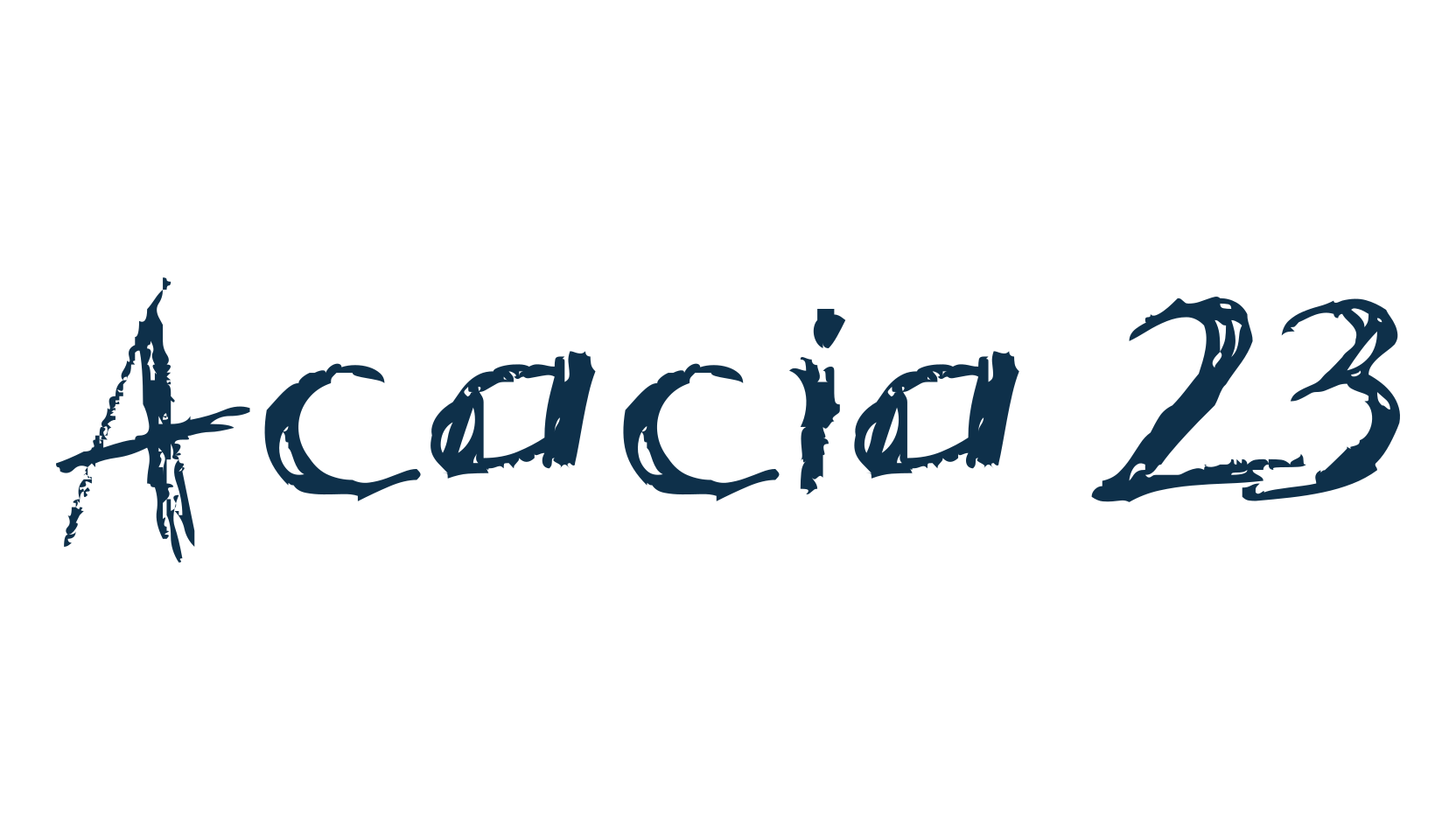 Acacia 23, script trash fancy decorative calligraphy font preview