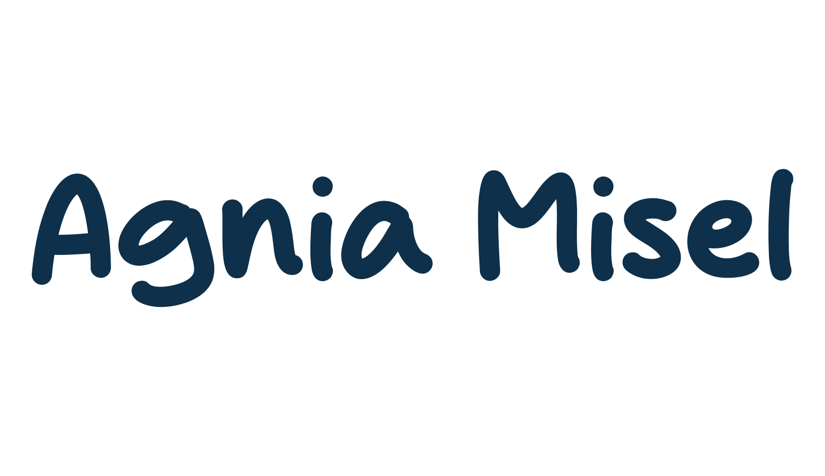 Agnia Misel, script handwritten fancy decorative calligraphy font preview