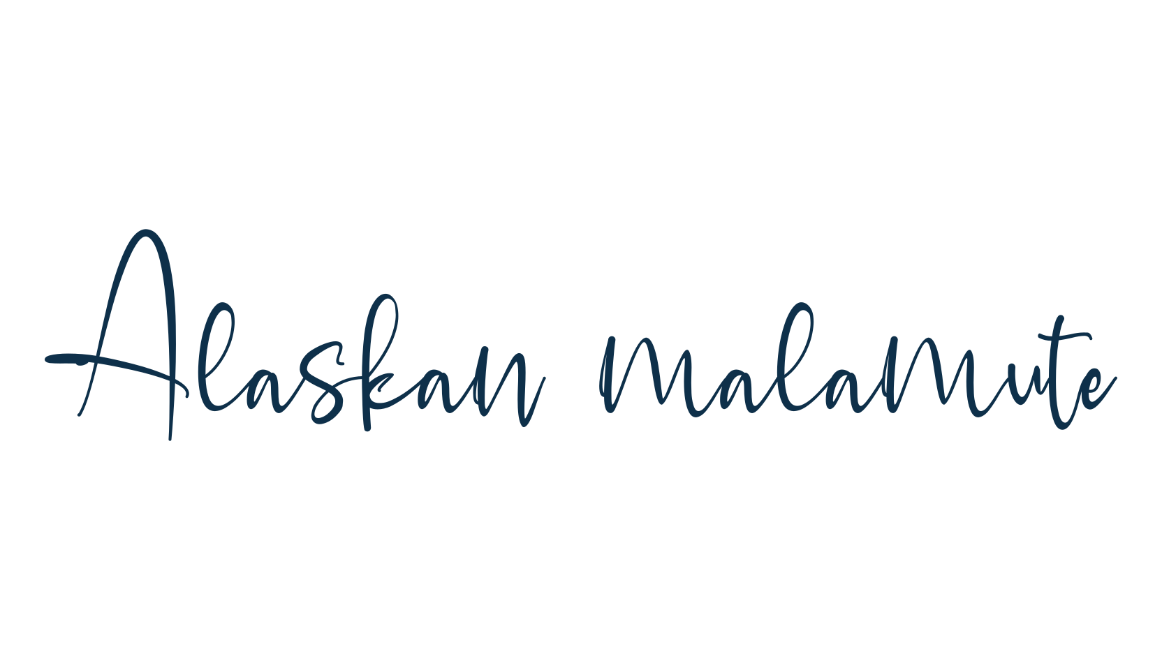 Alaskan malamute, script handwritten fancy decorative calligraphy font preview