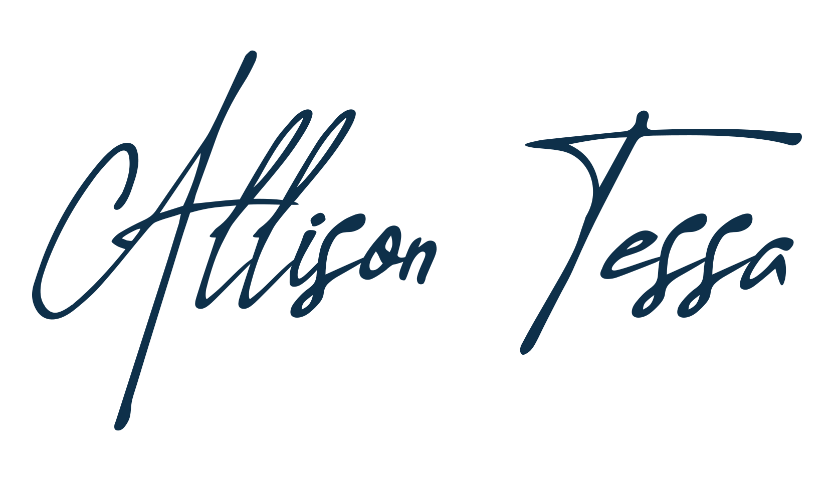 Allison Tessa, script handwritten fancy decorative calligraphy font preview