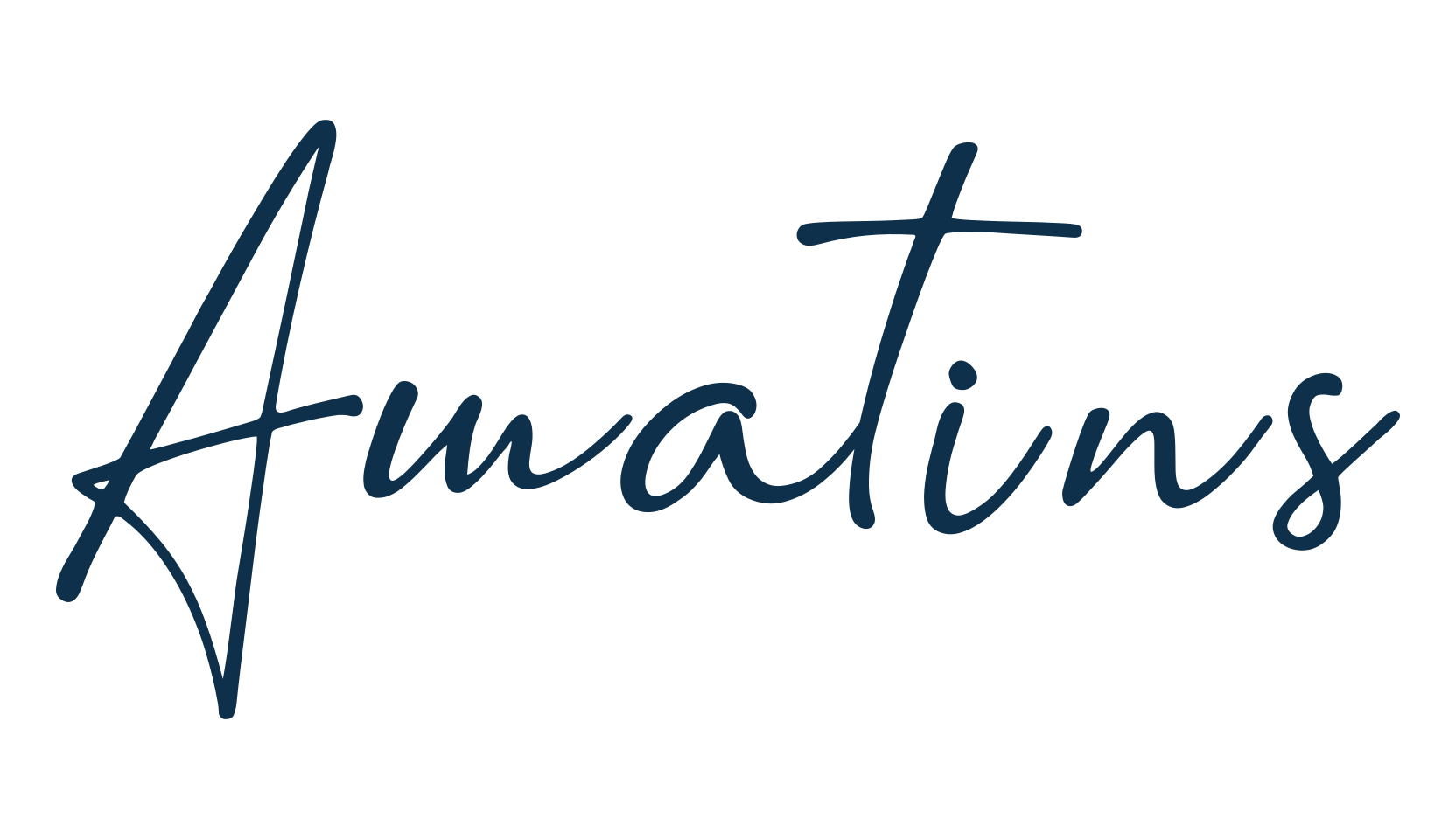 Amatins, script handwritten fancy decorative calligraphy font preview