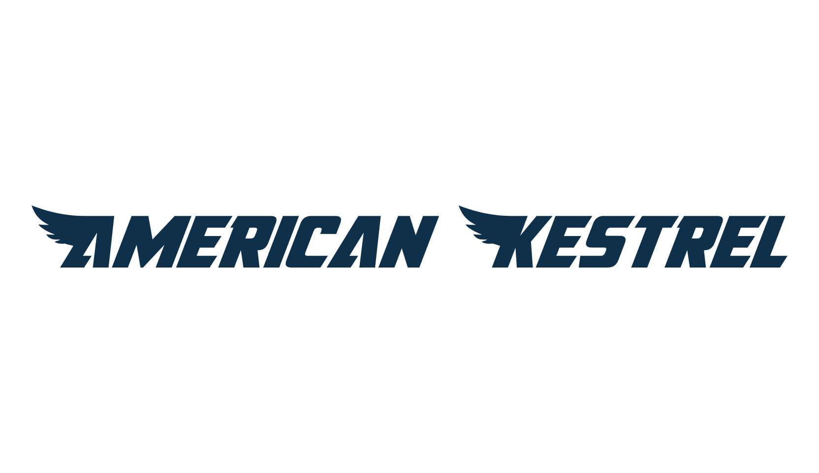 American Kestrel, fancy various techno sci-fi font preview