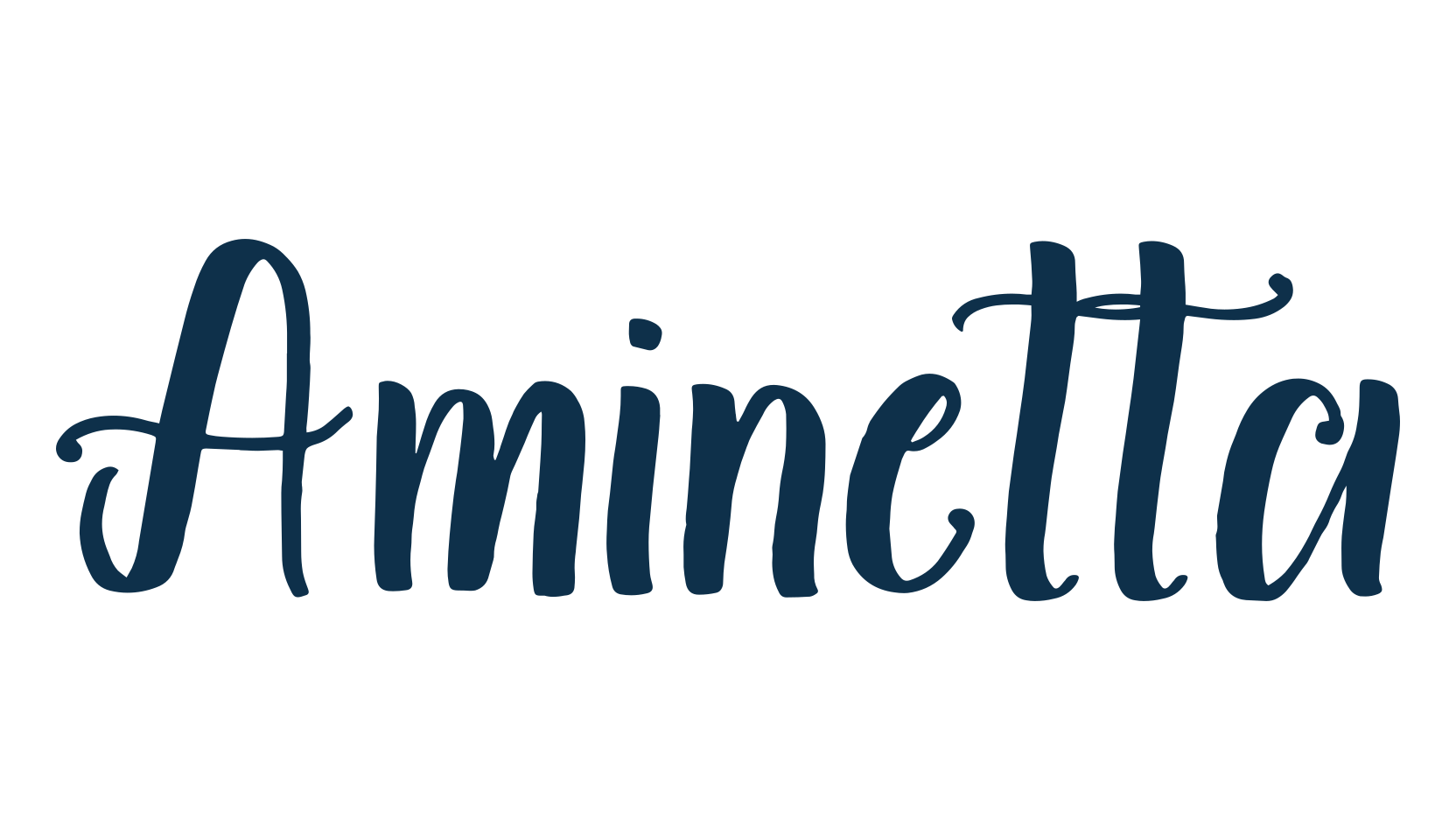 Aminetta, display market font preview