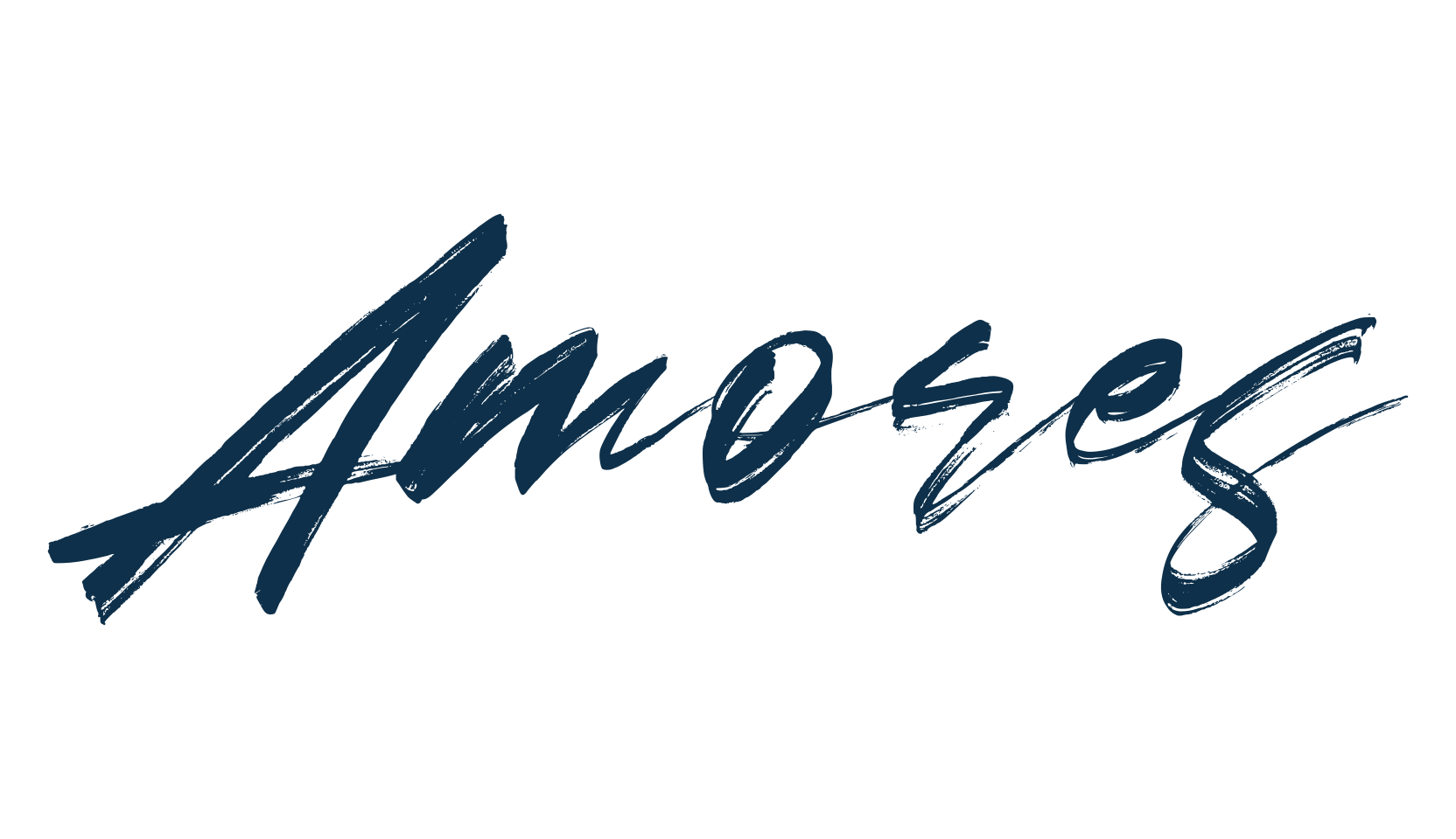 Amores, script brush fancy decorative calligraphy font preview