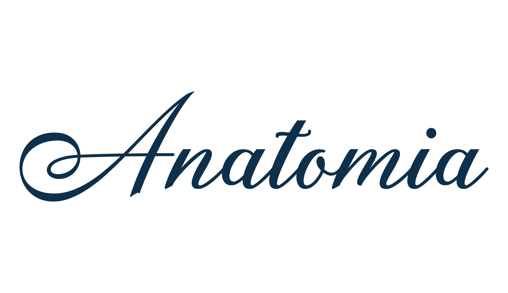 Anatomia, script calligraphy fancy decorative font preview