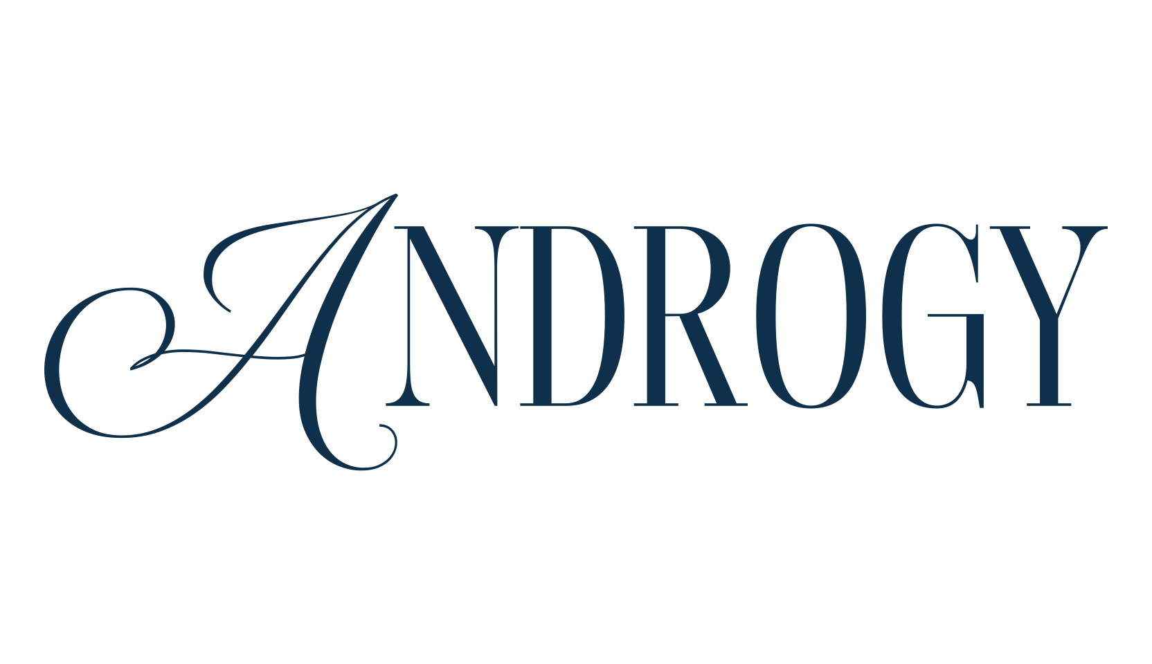 Androgy, serif font preview