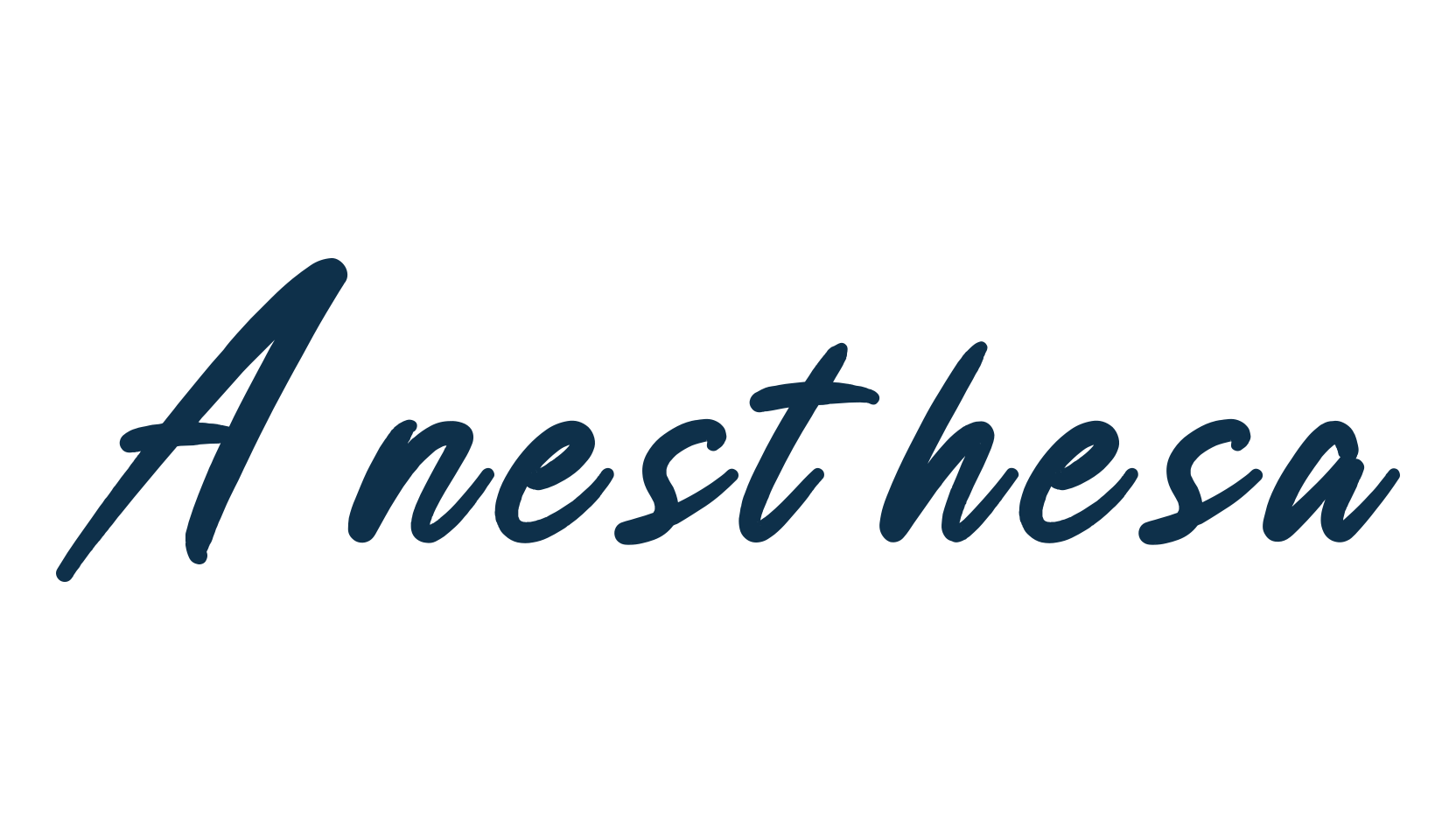 Anesthesa, script handwritten fancy decorative calligraphy font preview