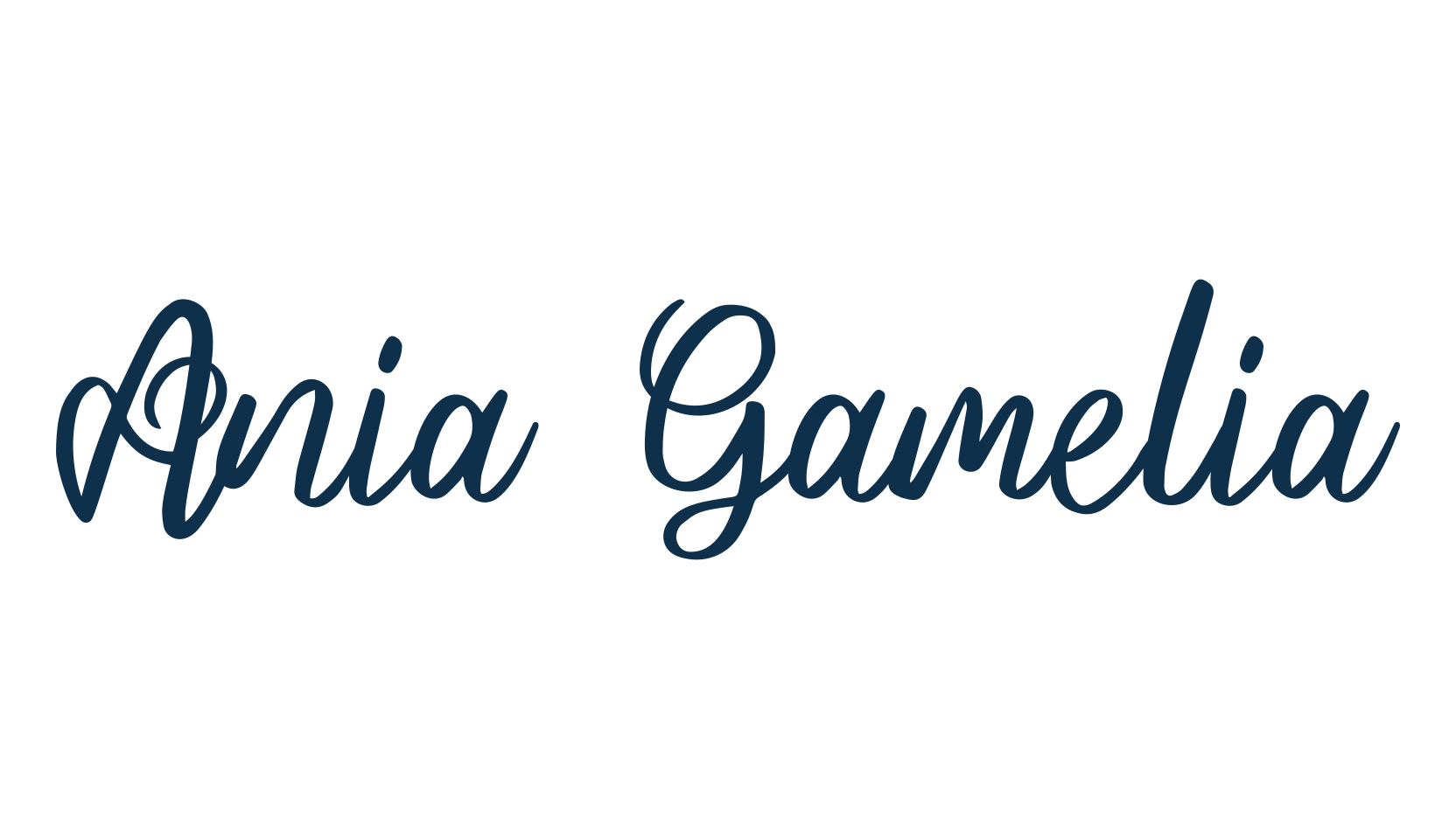 Ania Gamelia, script handwritten fancy decorative calligraphy font preview