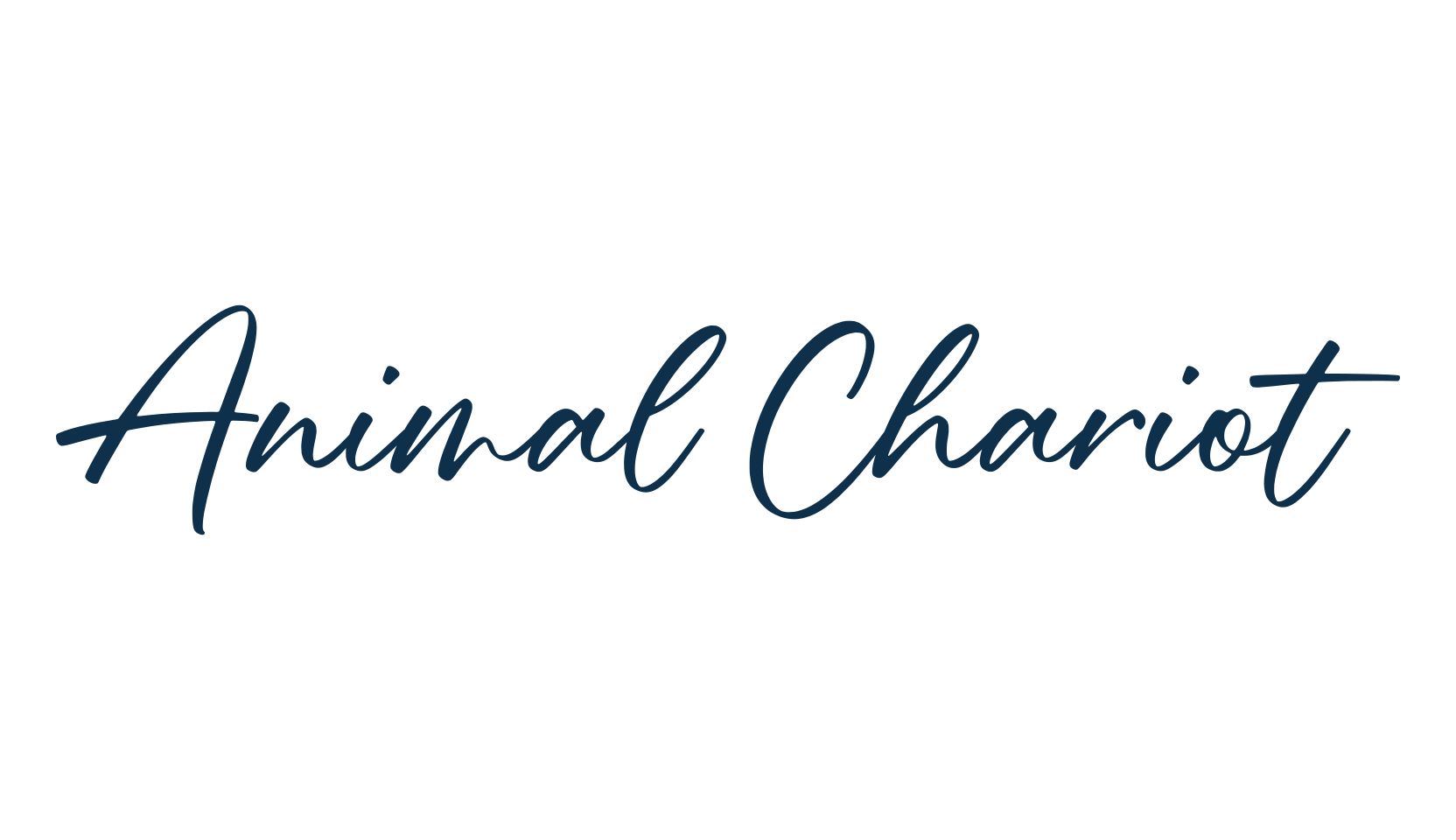 Animal Chariot, script handwritten fancy decorative calligraphy font preview