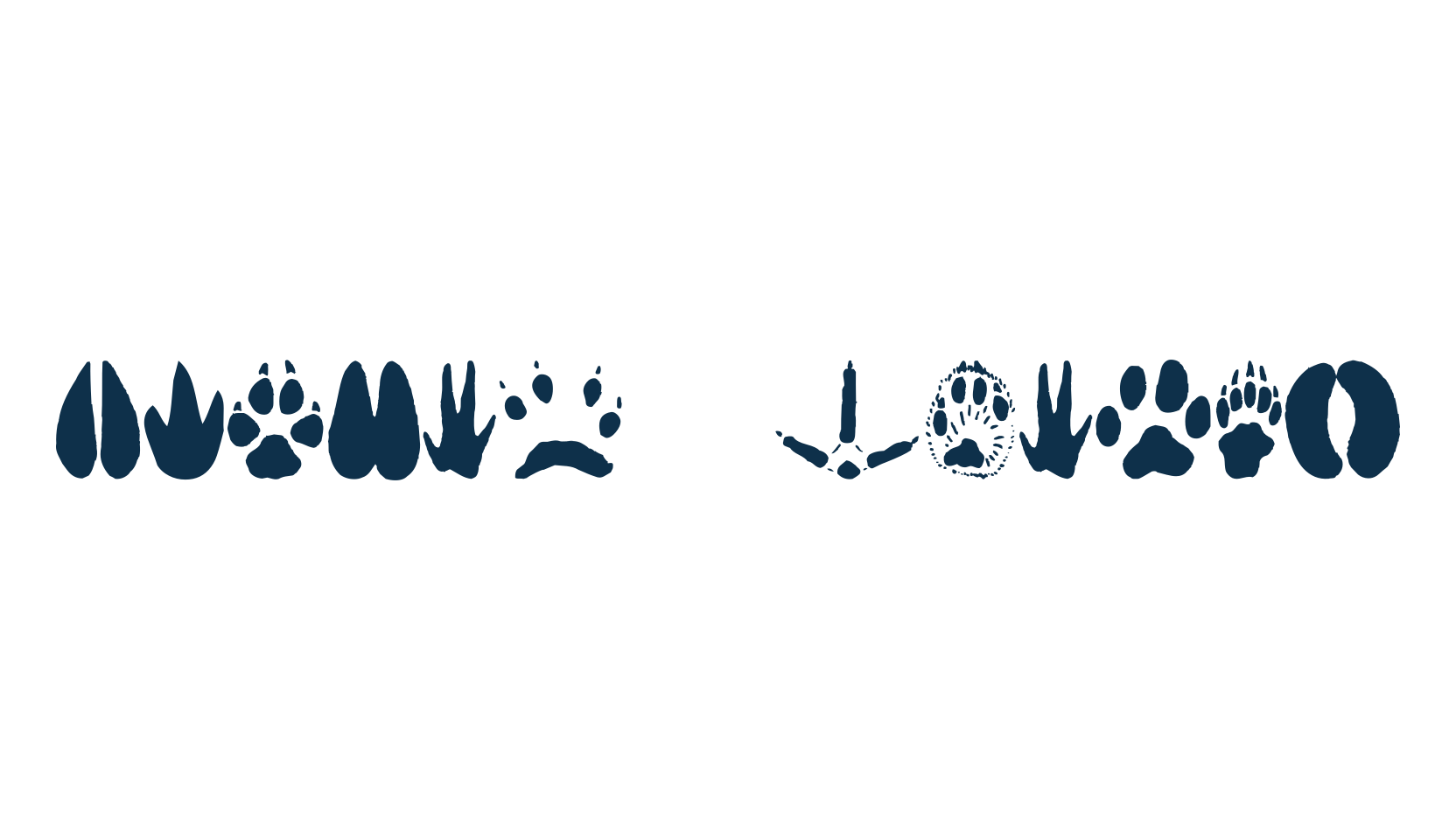 Animal Tracks, display market font preview