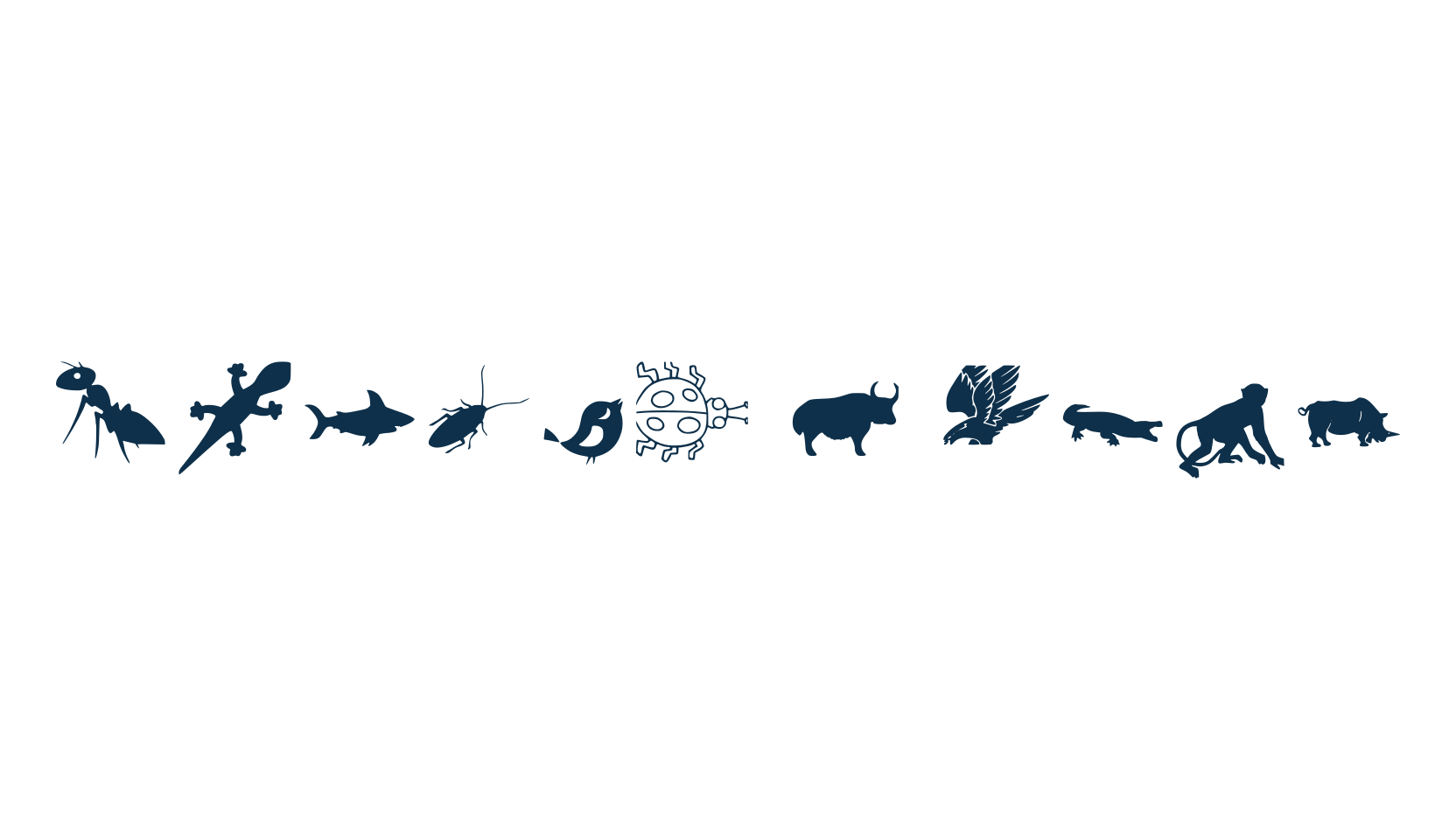 Animal Y Fobt, display market font preview