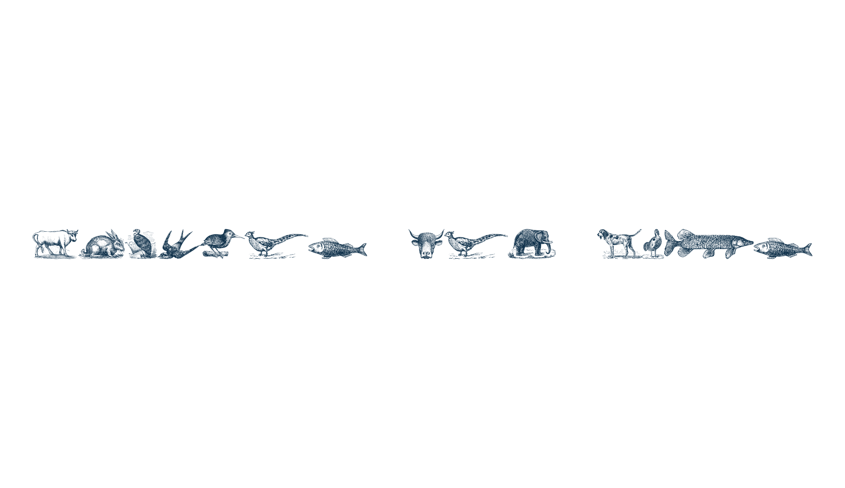 Animals Old Cuts, fancy decorative font preview