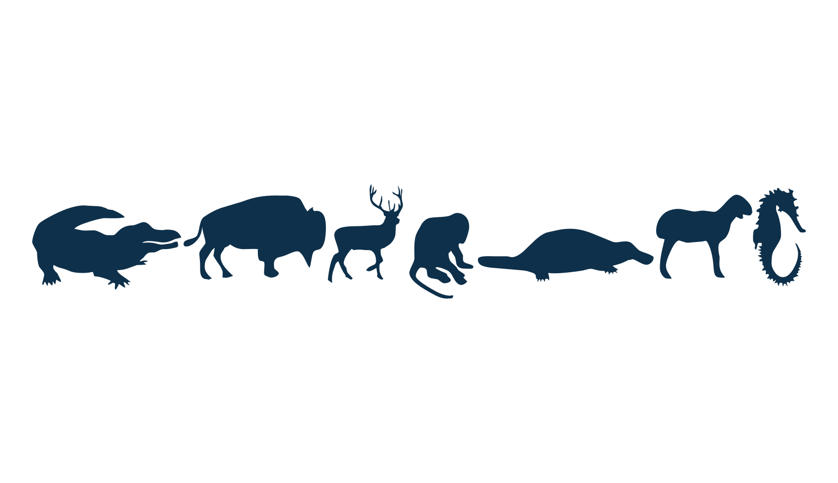 Animals (animals), fancy decorative font preview