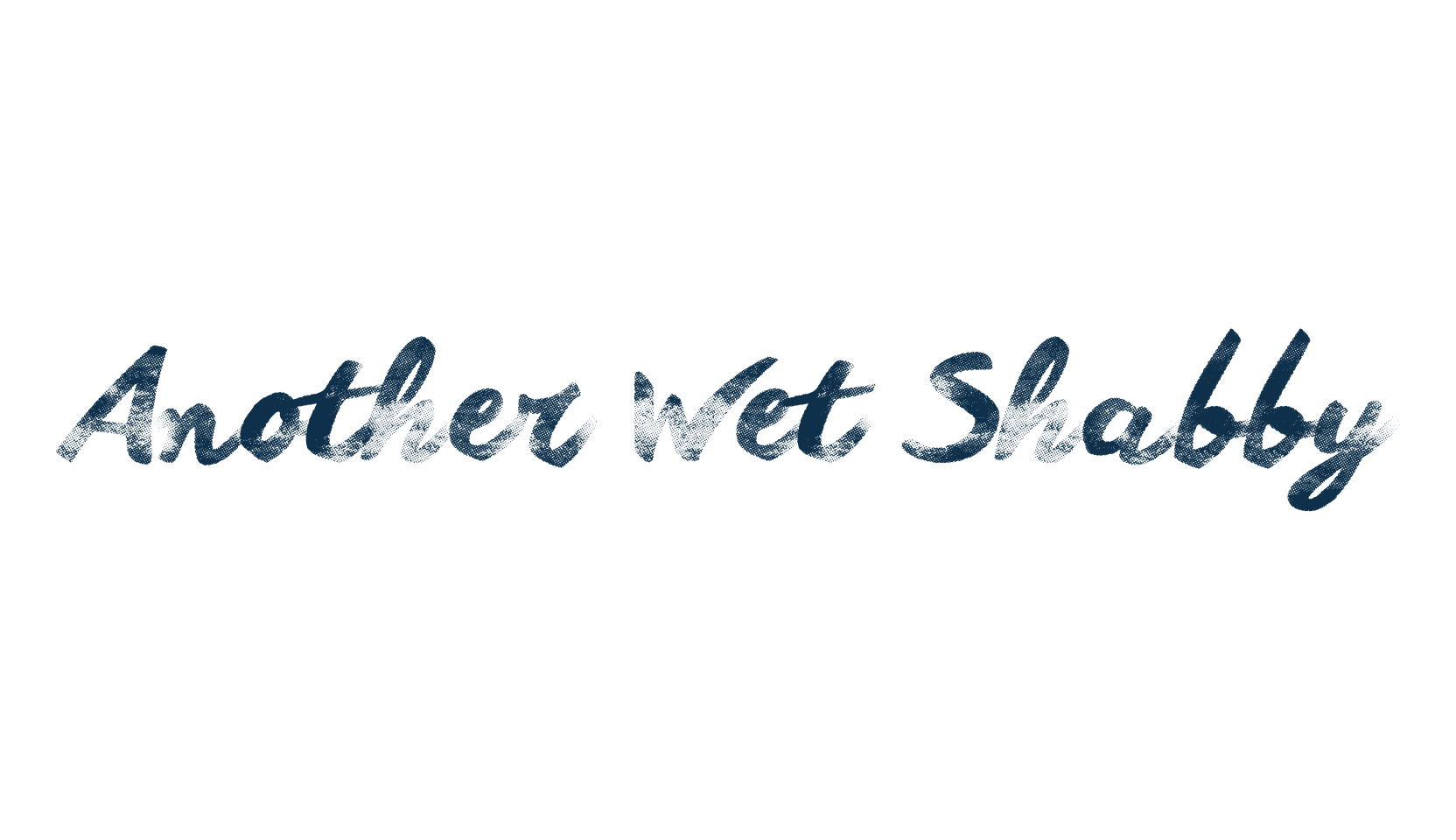 Another Wet Shabby, script brush fancy decorative calligraphy font preview