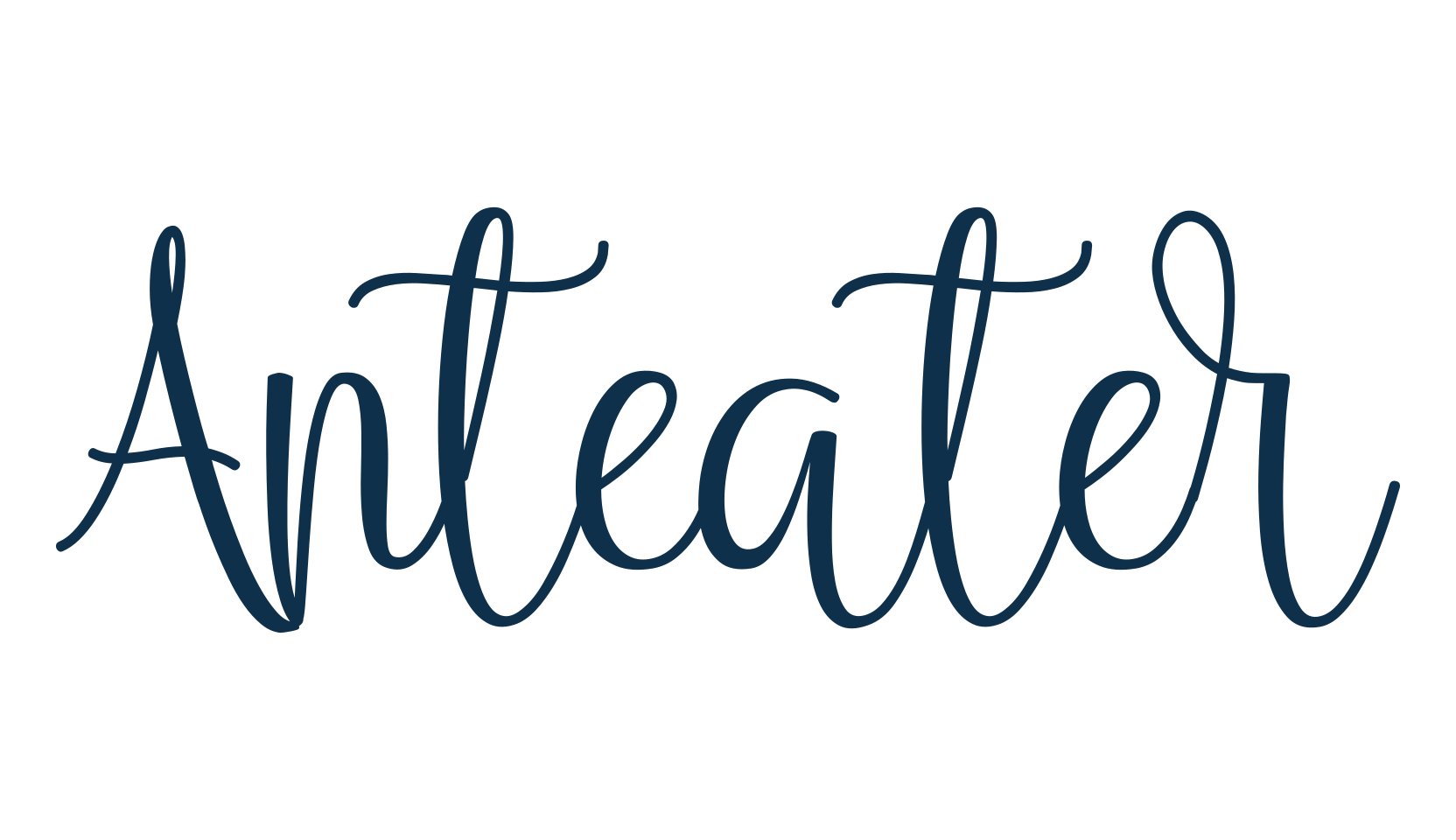 Anteater, script handwritten fancy decorative calligraphy font preview