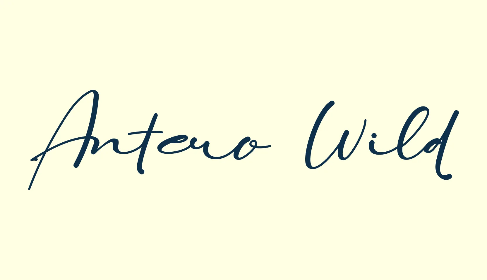Antero Wild, script handwritten fancy decorative calligraphy font preview