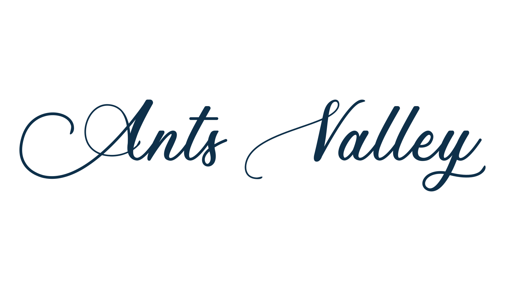Ants Valley, script calligraphy fancy decorative font preview
