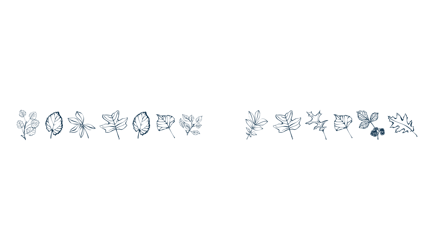 Arboris Folium, fancy decorative font preview