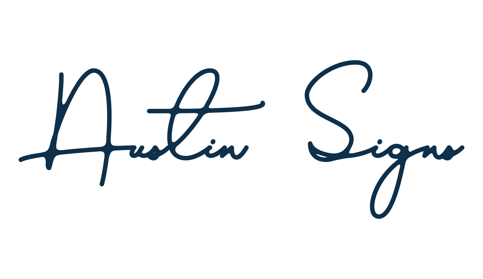 Austin Signs, script handwritten fancy decorative calligraphy font preview