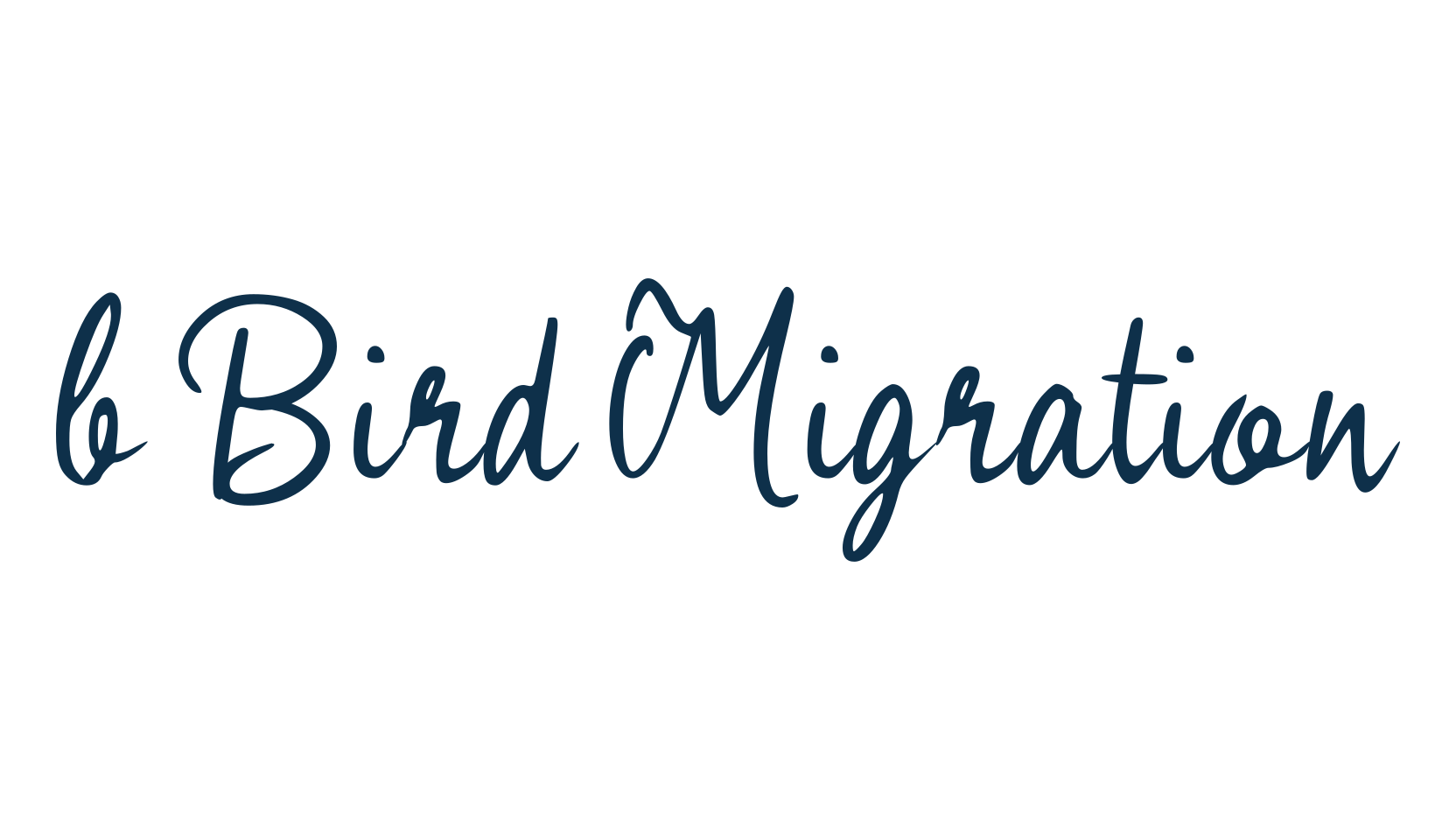 b Bird Migration, script handwritten fancy decorative calligraphy font preview