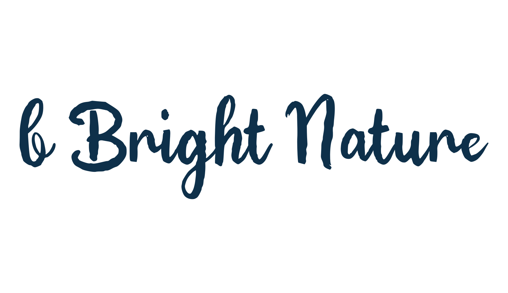 b Bright Nature, fancy decorative font preview