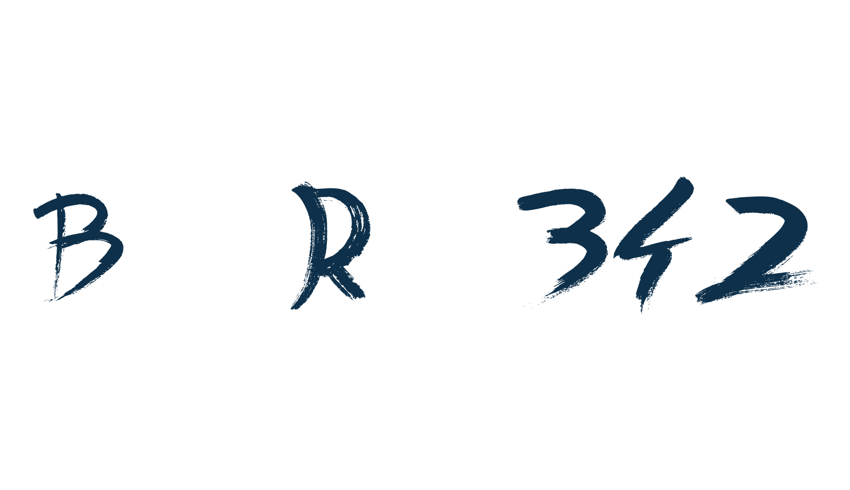 Back Ride 342, script brush fancy decorative calligraphy font preview