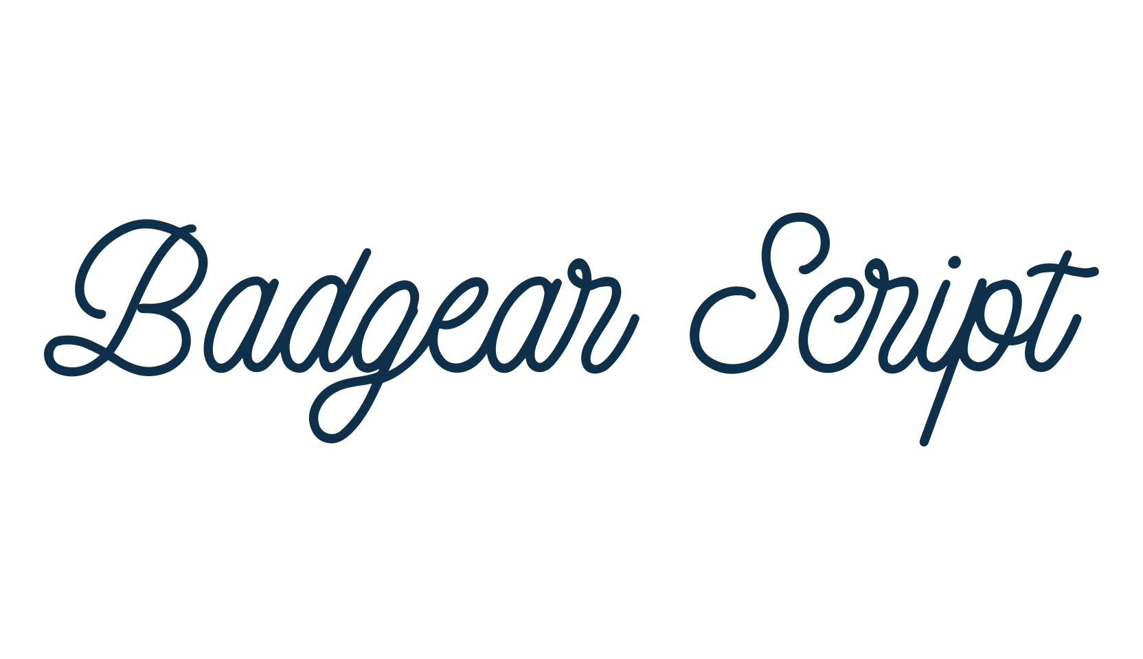 Badgear Script, fancy various decorative script calligraphy font preview