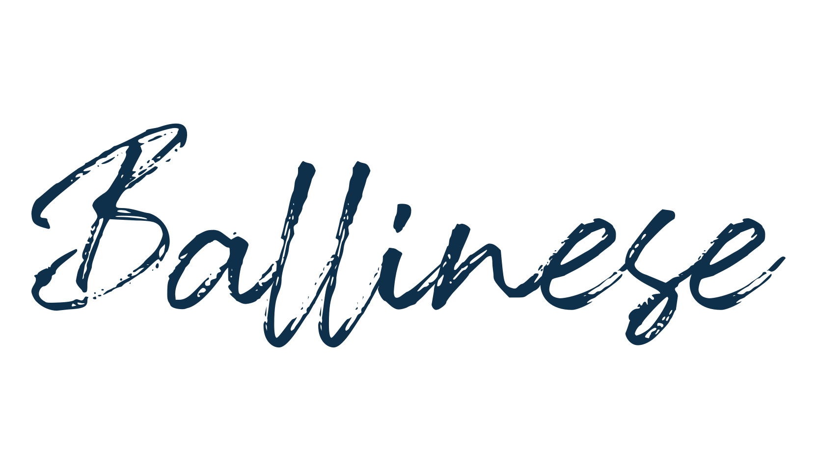 Ballinese, script brush fancy decorative calligraphy font preview