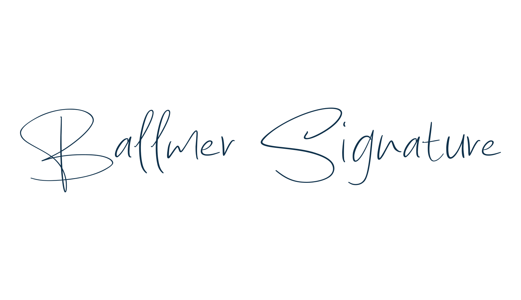 Ballmer Signature, script handwritten fancy decorative calligraphy font preview