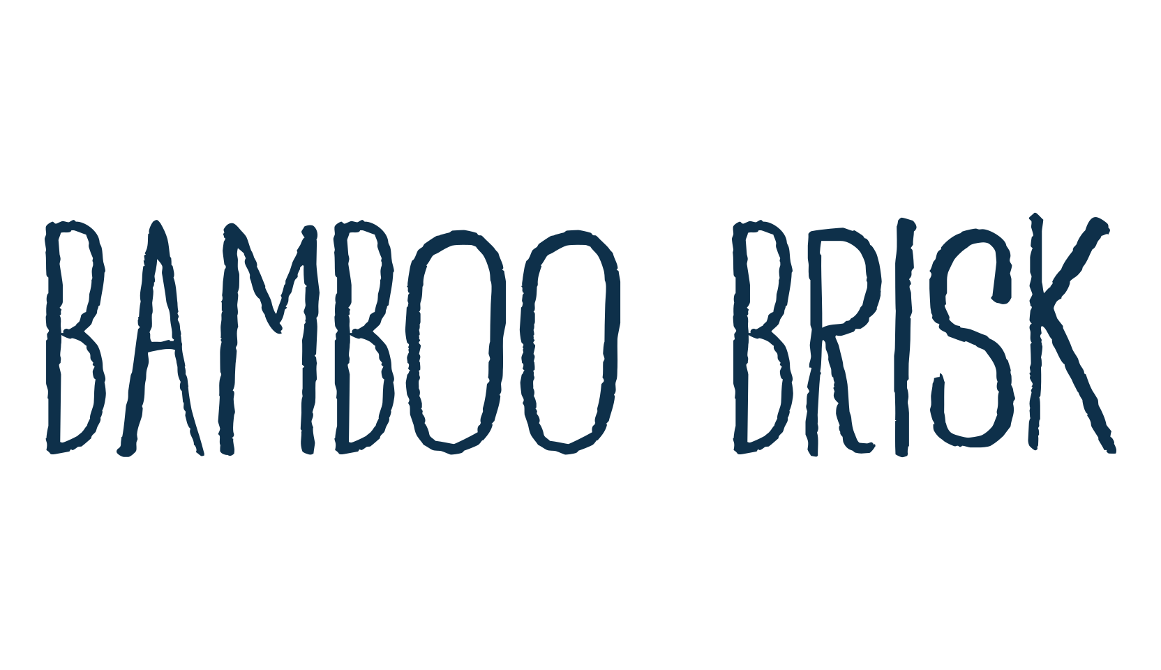 Bamboo Brisk, script handwritten fancy decorative calligraphy font preview