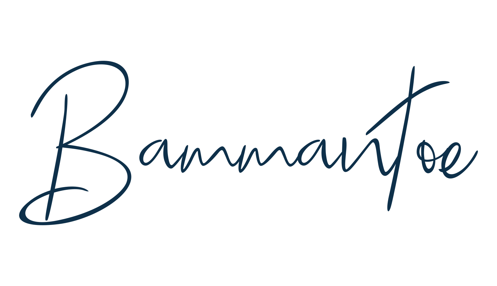 Bammantoe, script handwritten fancy decorative calligraphy font preview
