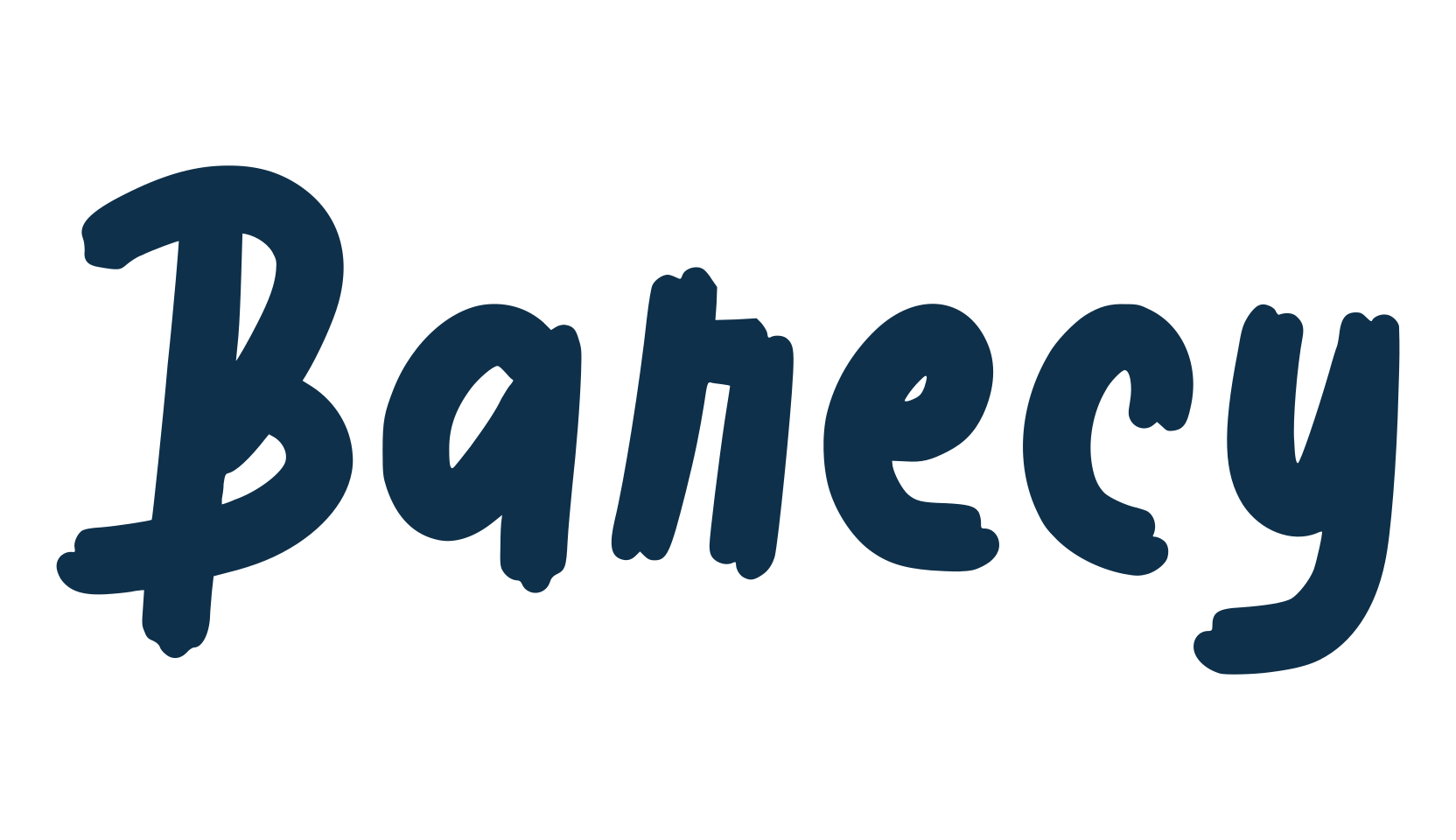 Barecy, script brush fancy decorative calligraphy font preview