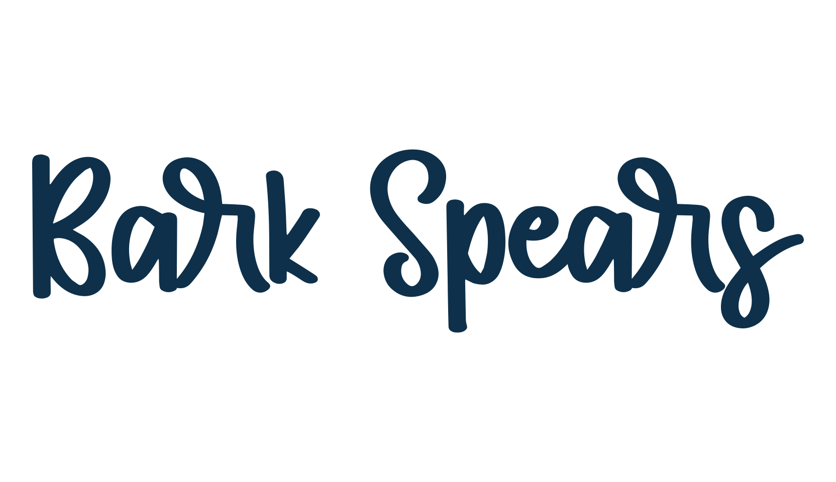 Bark Spears, script handwritten fancy decorative calligraphy font preview