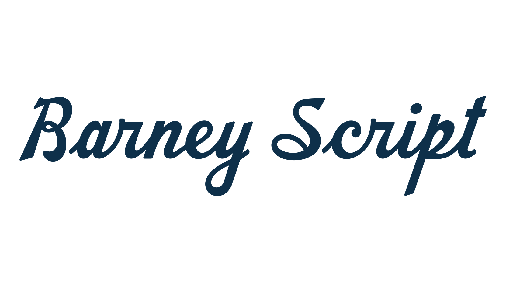 Barney Script, fancy old school decorative script calligraphy font preview