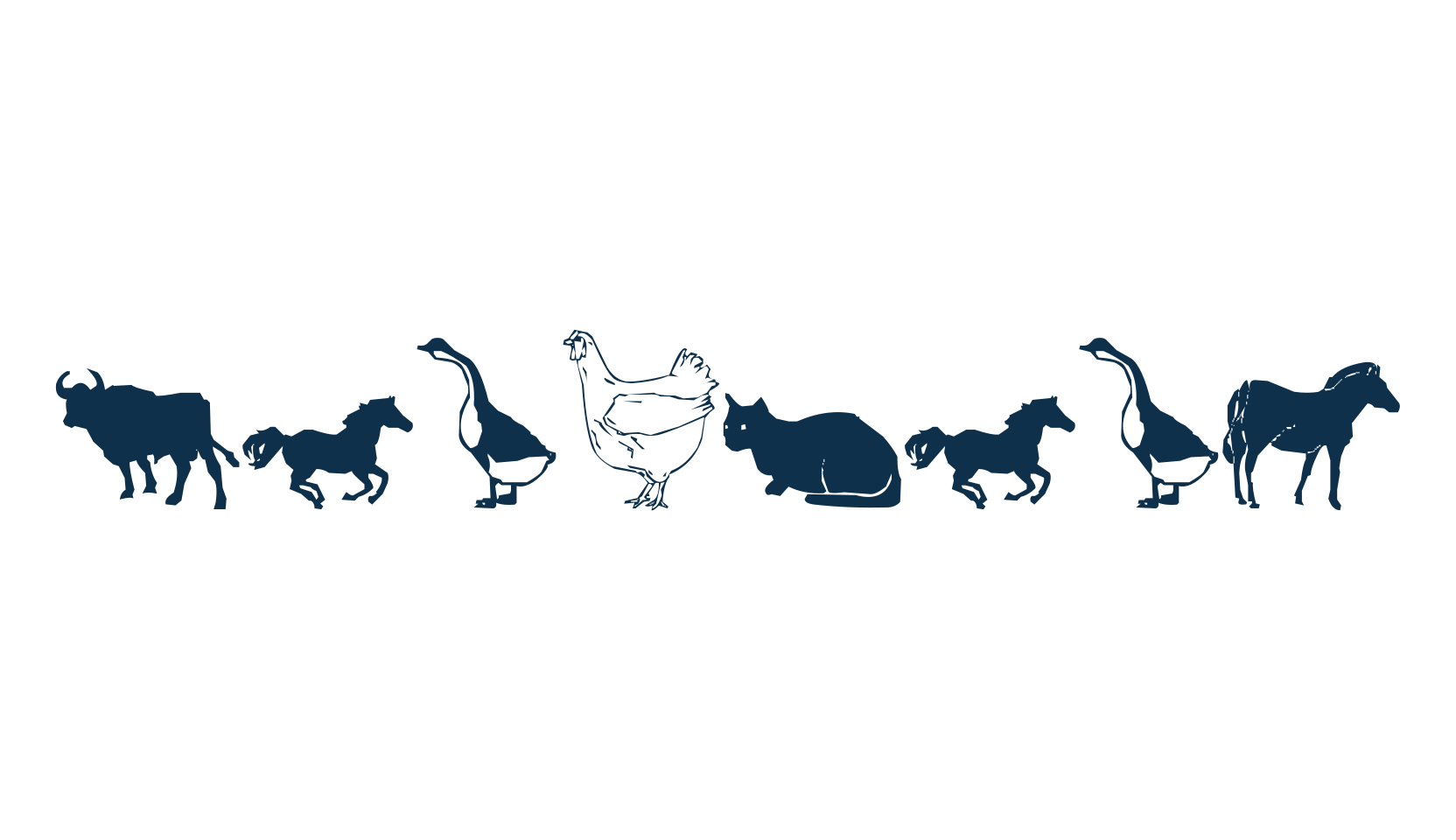Barnyard, display market font preview