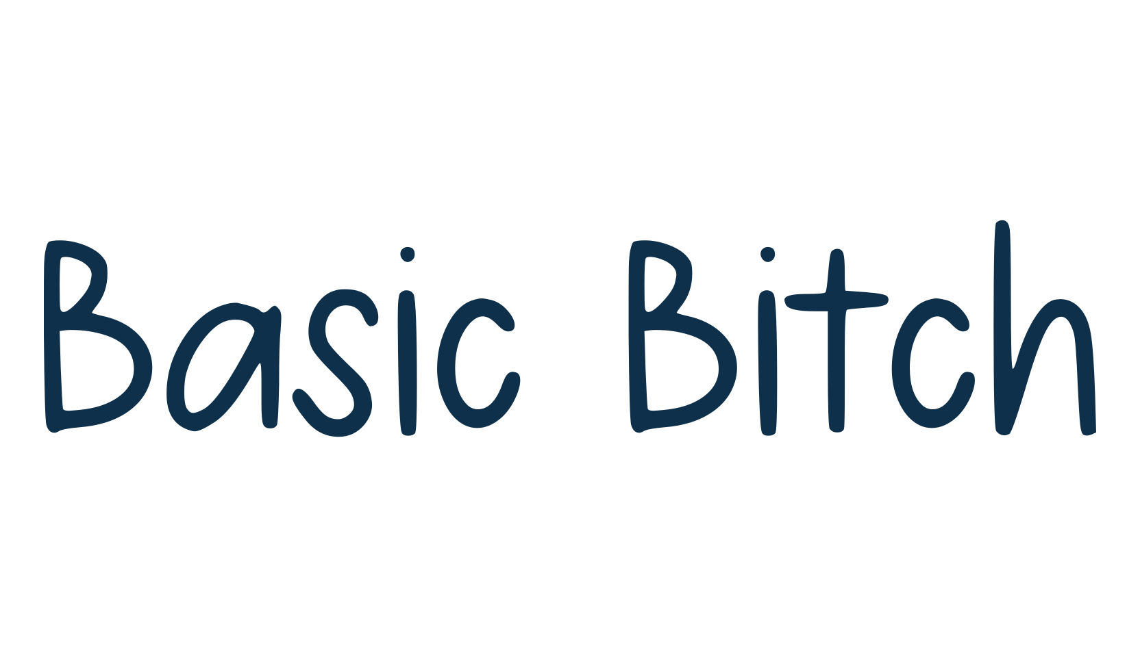 Basic Bitch, script handwritten fancy decorative calligraphy font preview