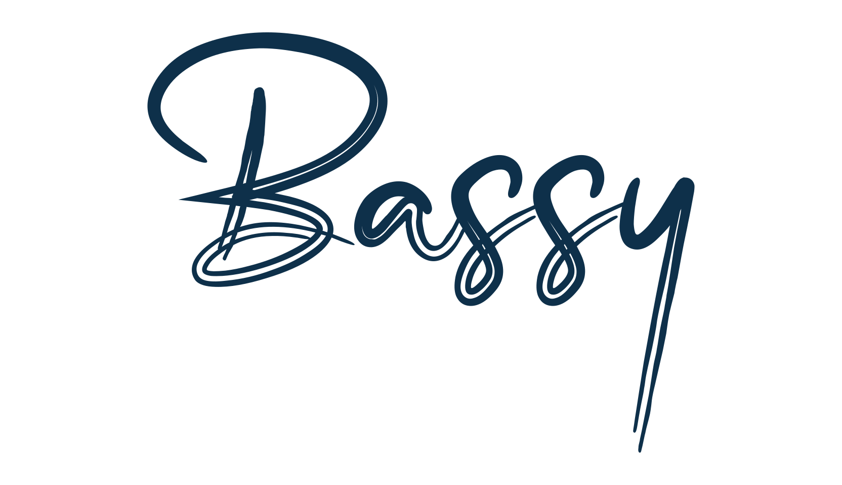 Bassy, script brush fancy decorative calligraphy font preview