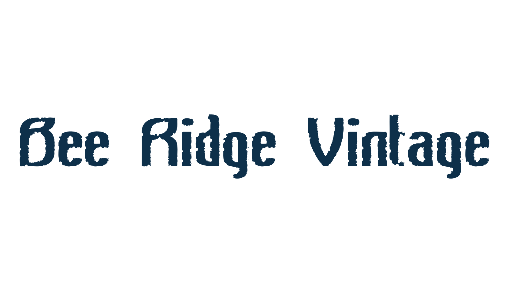 Bee Ridge Vintage, fancy eroded decorative font preview
