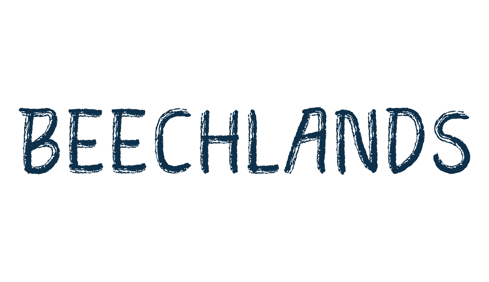 Beechlands, script brush fancy decorative calligraphy font preview