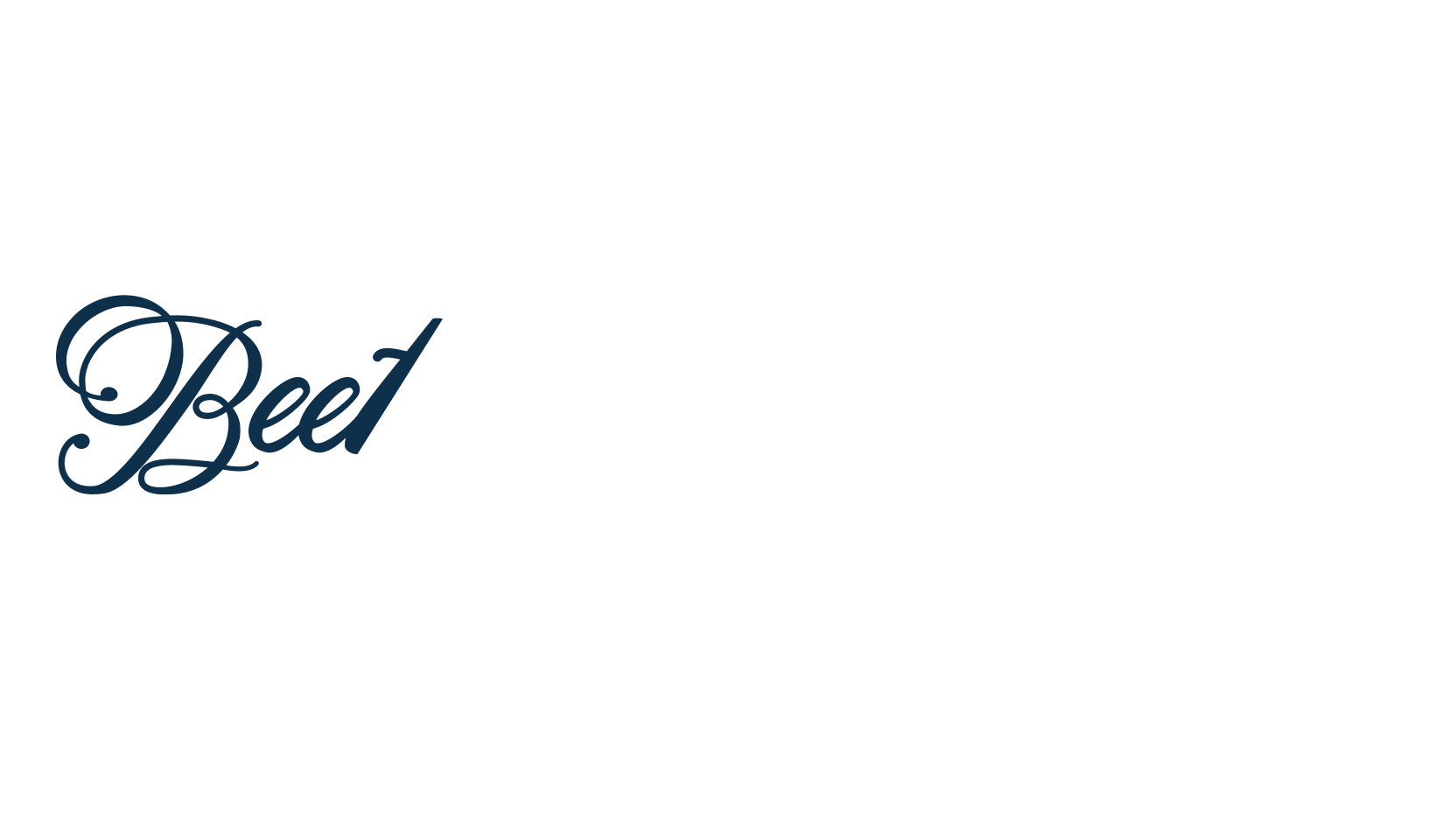 Beethoven Syinthesa, script calligraphy fancy decorative font preview