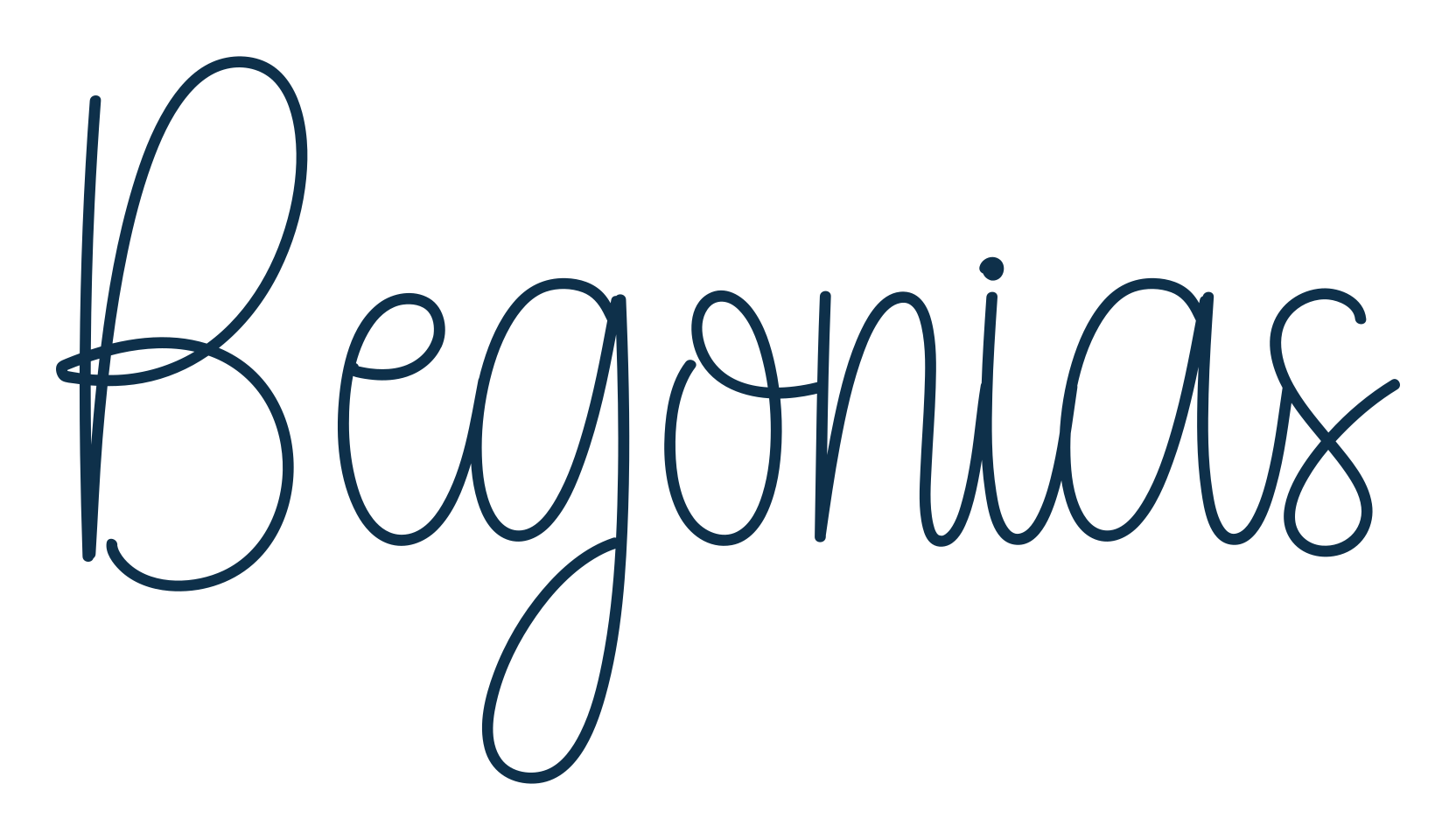 Begonias, handwriting font preview