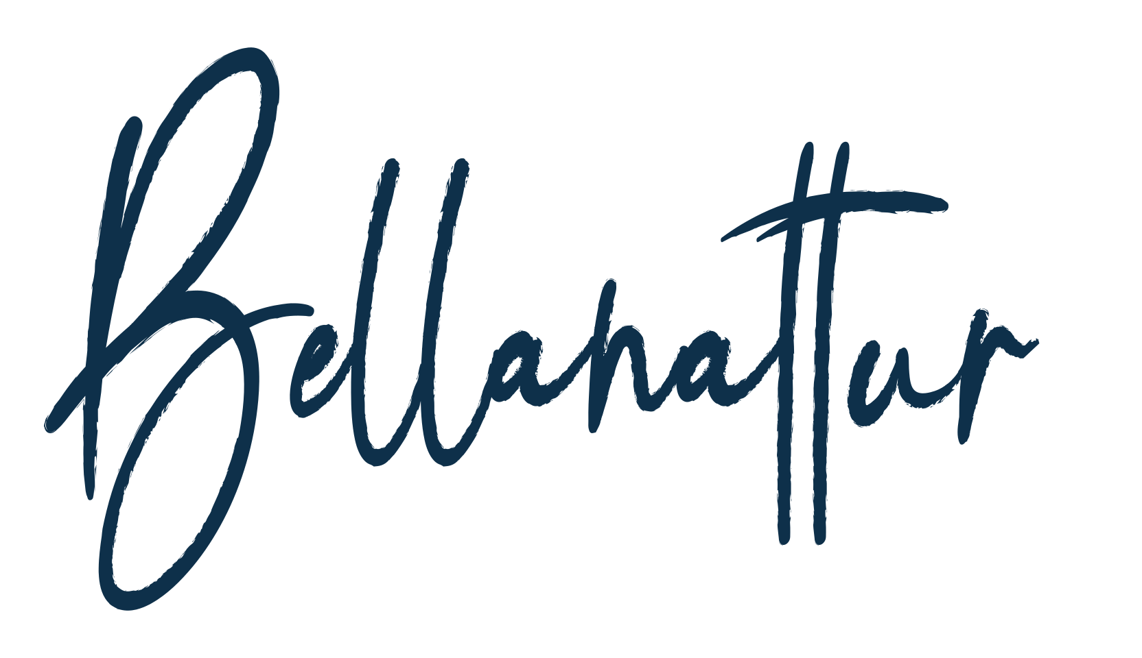 Bellanatture, script handwritten fancy decorative calligraphy font preview