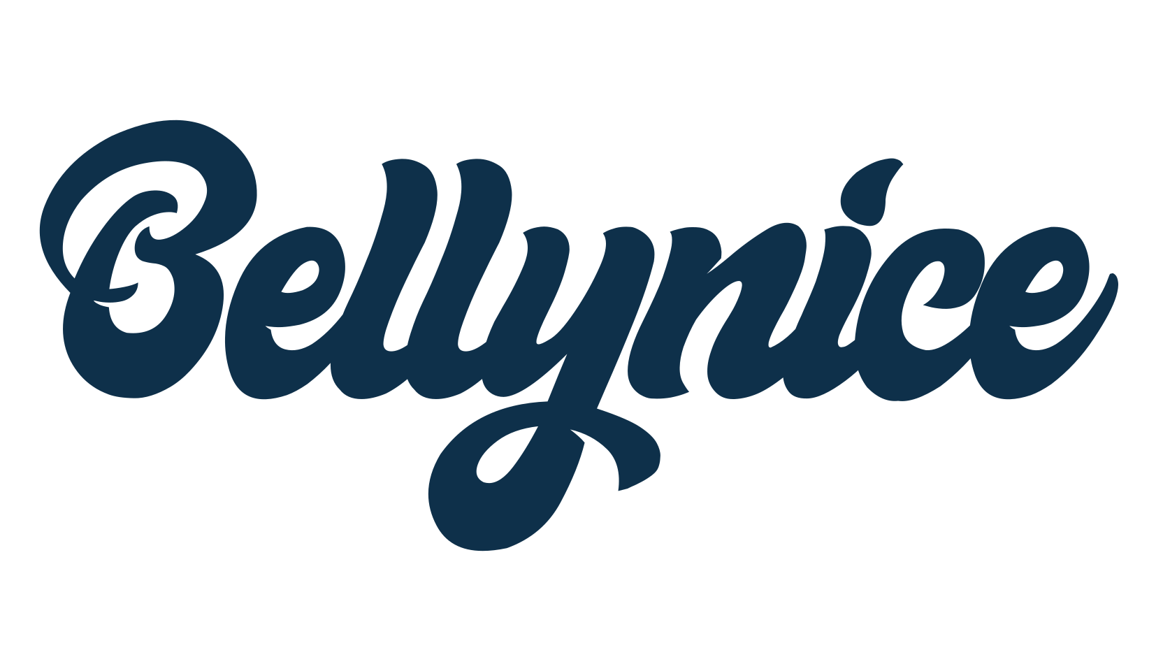 Bellynice, fancy various decorative script calligraphy font preview