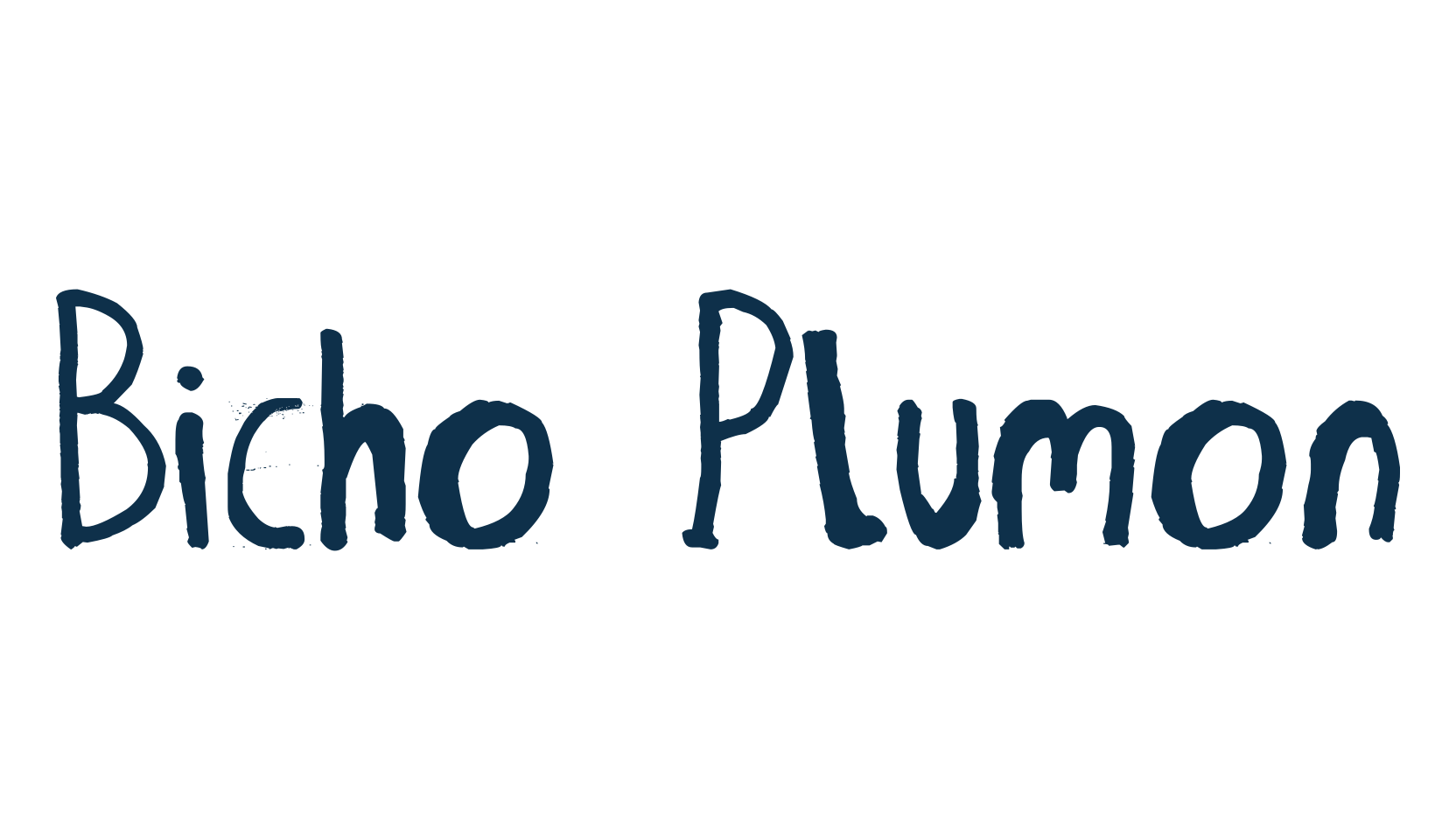 Bicho Plumon, fancy cartoon decorative font preview