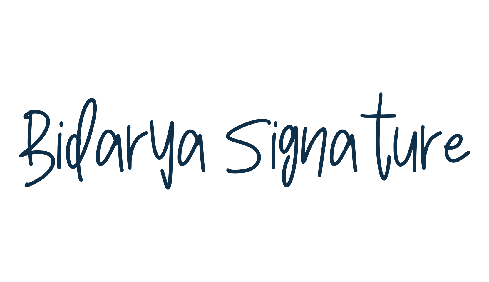 Bidarya Signature, script handwritten fancy decorative calligraphy font preview