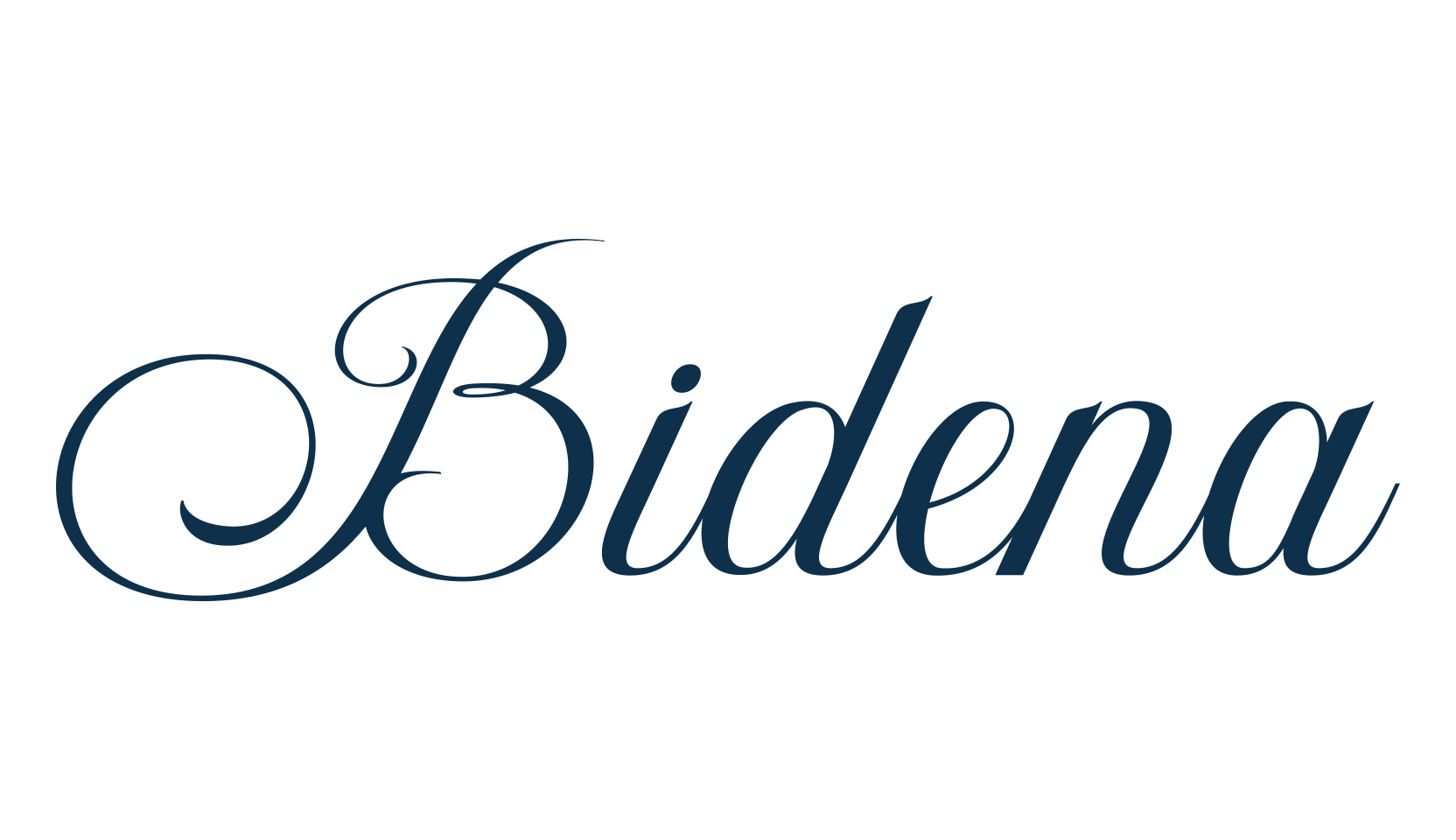 Bidena, script calligraphy fancy decorative font preview