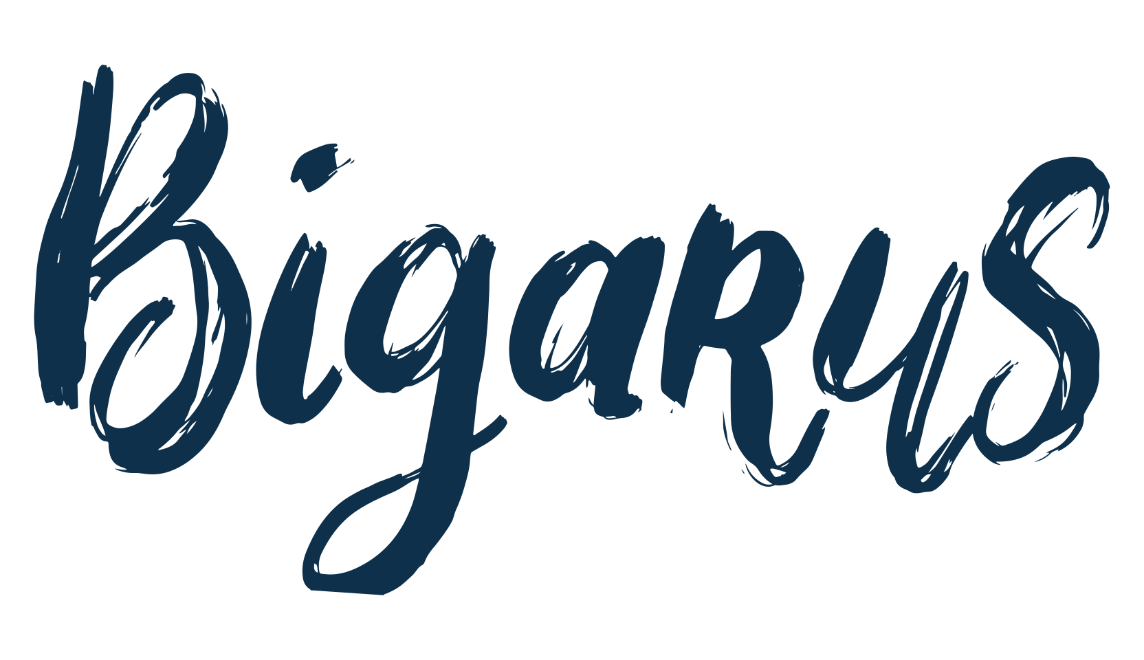 Bigarus, script brush fancy decorative calligraphy font preview