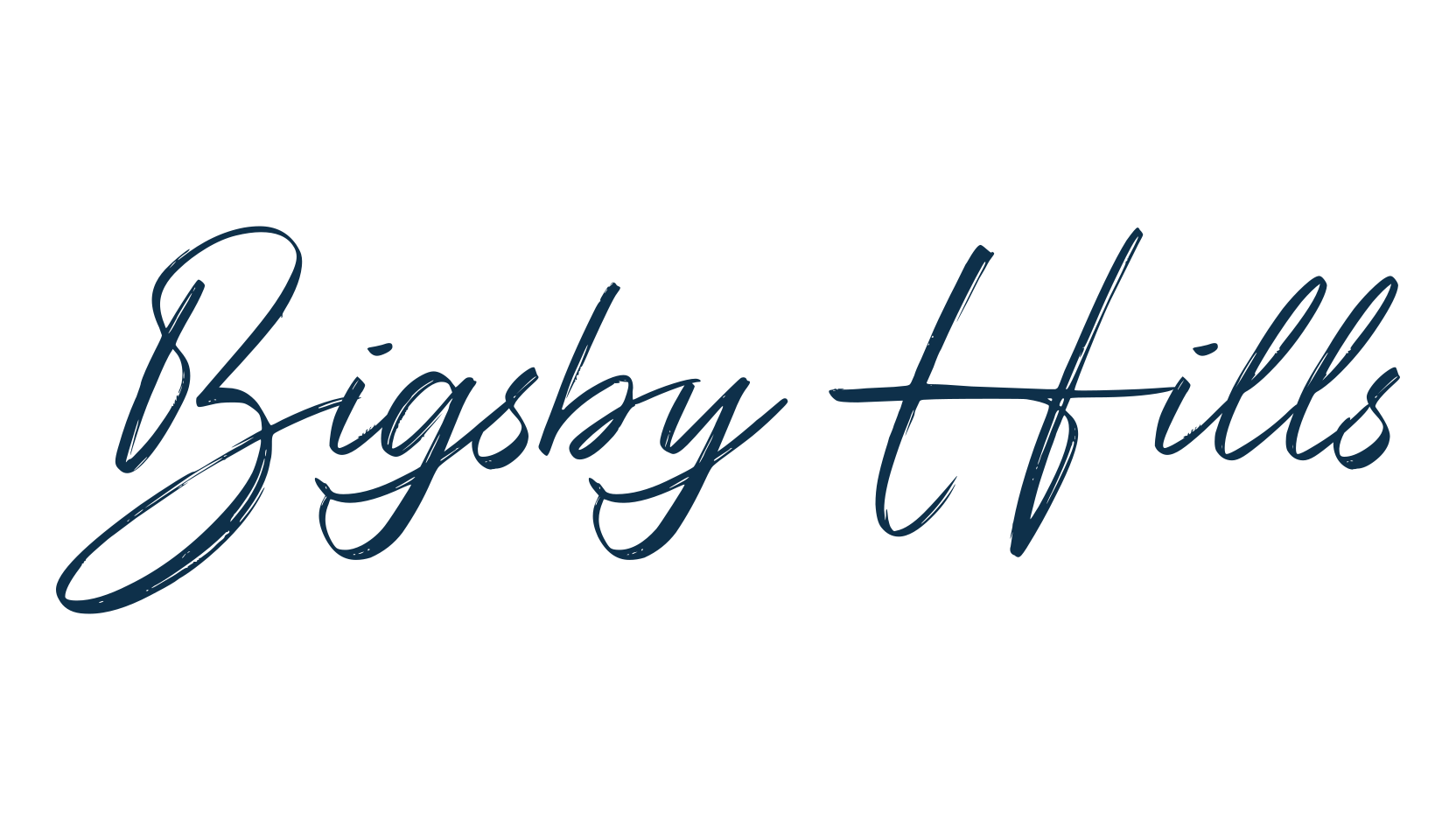 Bigsby Hills, script brush fancy decorative calligraphy font preview